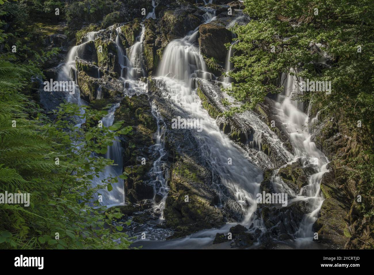 Ein Blick auf den Swallow Falls Wasserfall in Anglesey in Nordwales im herbstlichen Glanz Stockfoto