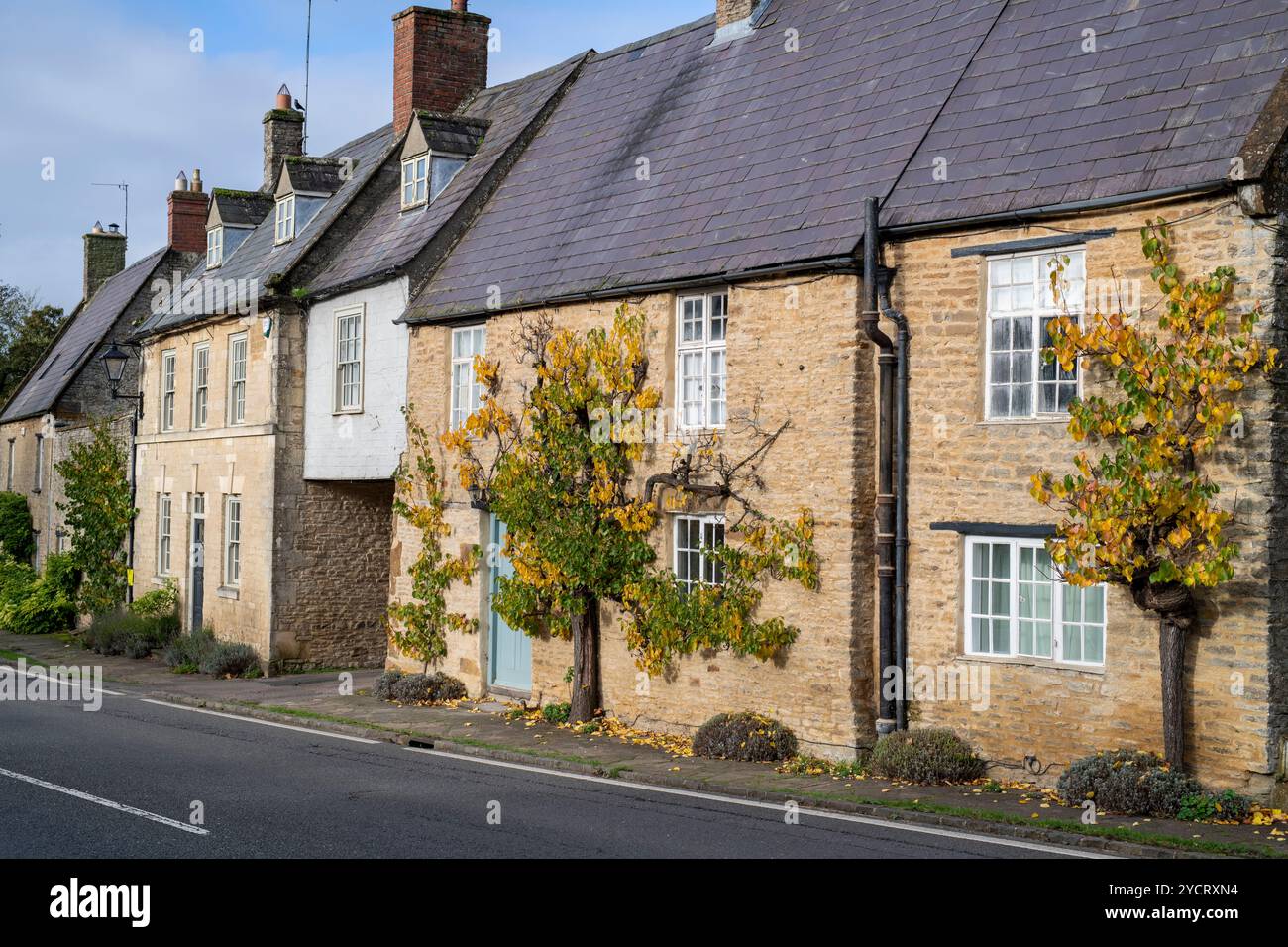 Spalier Aprikosenbäume im Herbst auf Cottages in Aynho, Northamptonshire, England Stockfoto