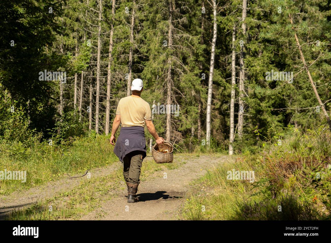 Junger kaukasier, der mit einem Korb in den Wald geht, um essbare Pilze zu pflücken. Stockfoto