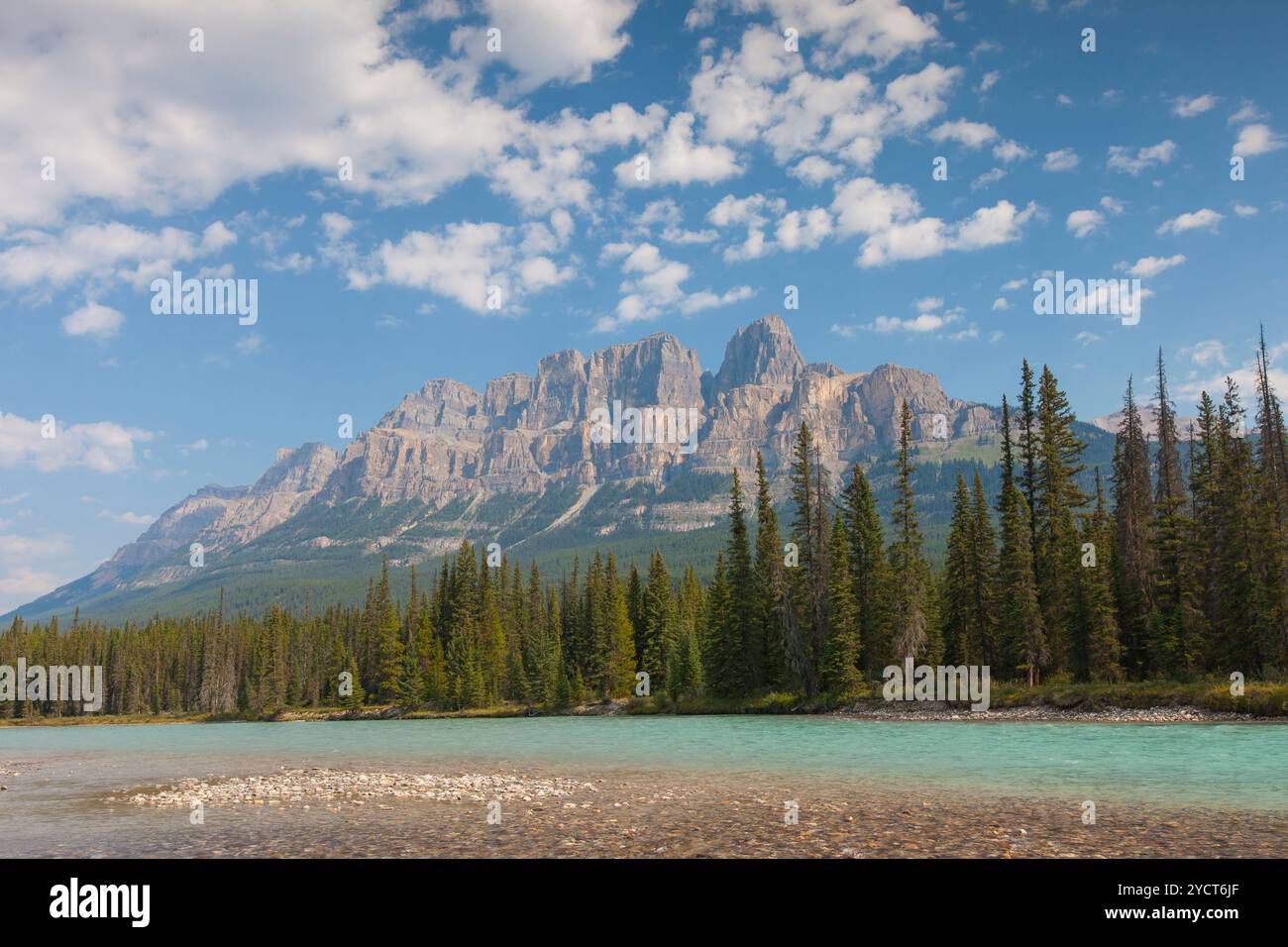 Castle Mountain am Bow River, Banff National Park, Alberta, Kanada Stockfoto
