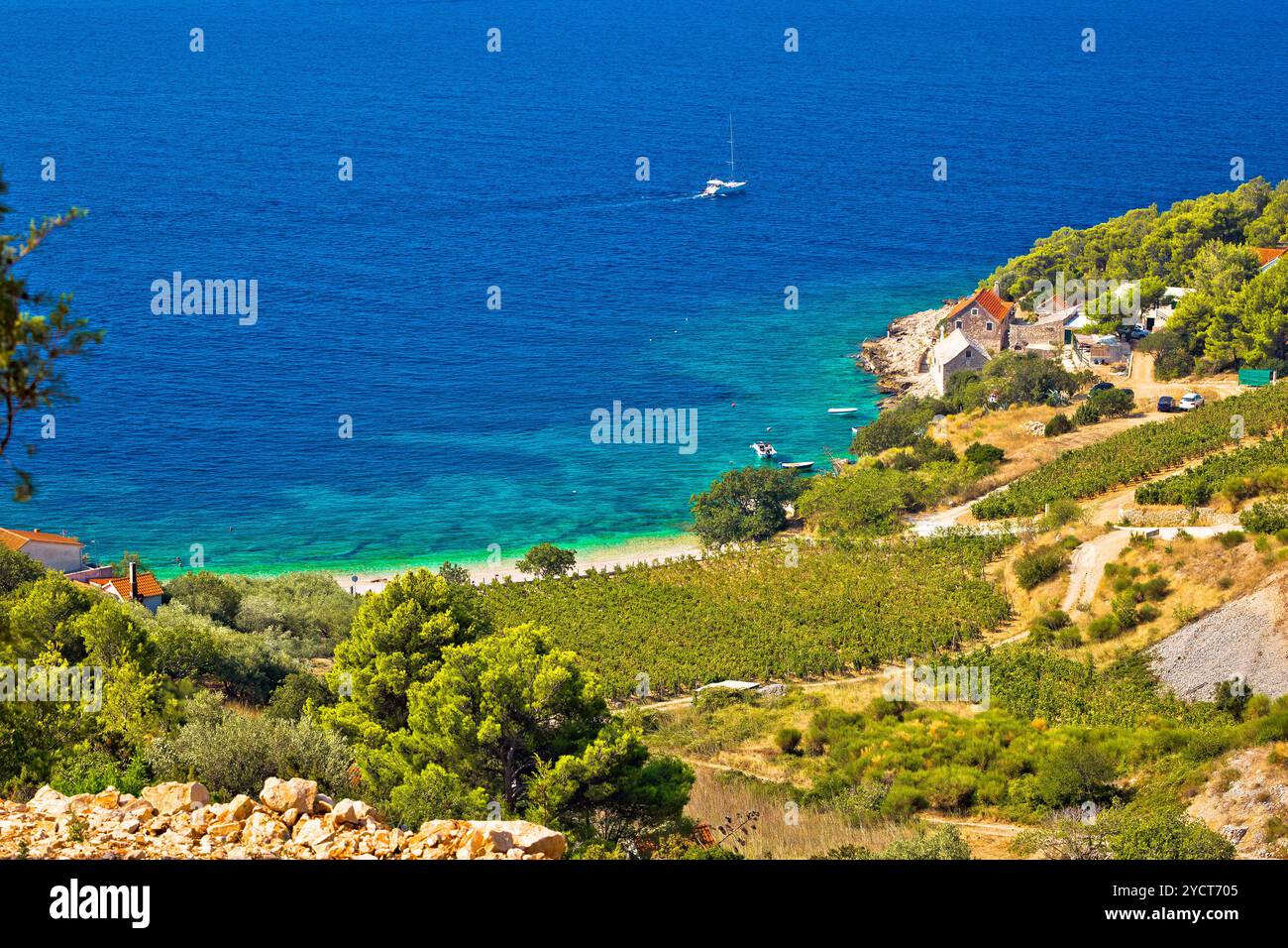 Weinberg und Strand im malerischen Dorf Stockfoto