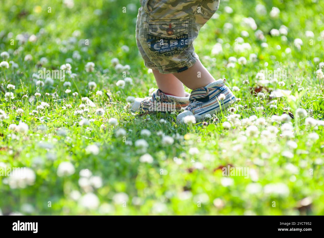 Weiße Kleeblüten und Jungen Füße Stockfoto