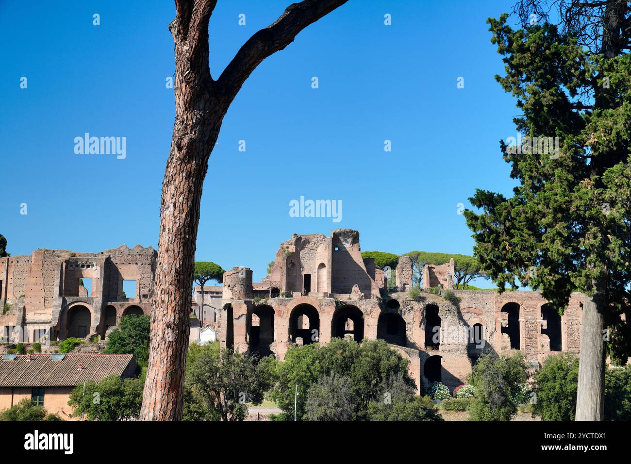 Circus Maximus, größter Zirkus, Circo Massimo, Aventinenhügel, Palatin, altes Rom, Inhaltsverzeichnis wechseln, altes Rom, Latium, Stockfoto