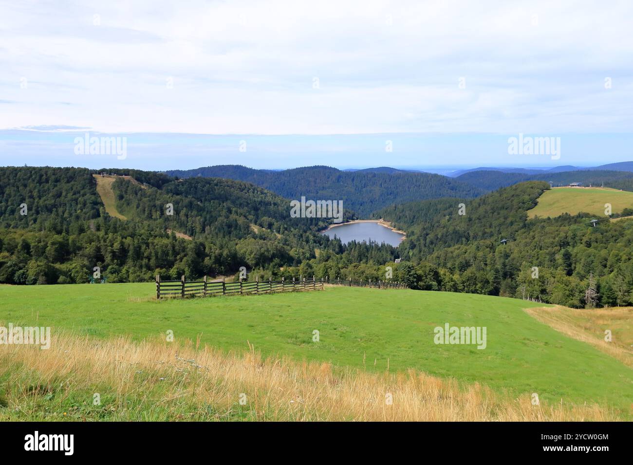 Landschaftsblick an der Route des Cretes im Elsass, Vogesen in Frankreich im Sommer Stockfoto