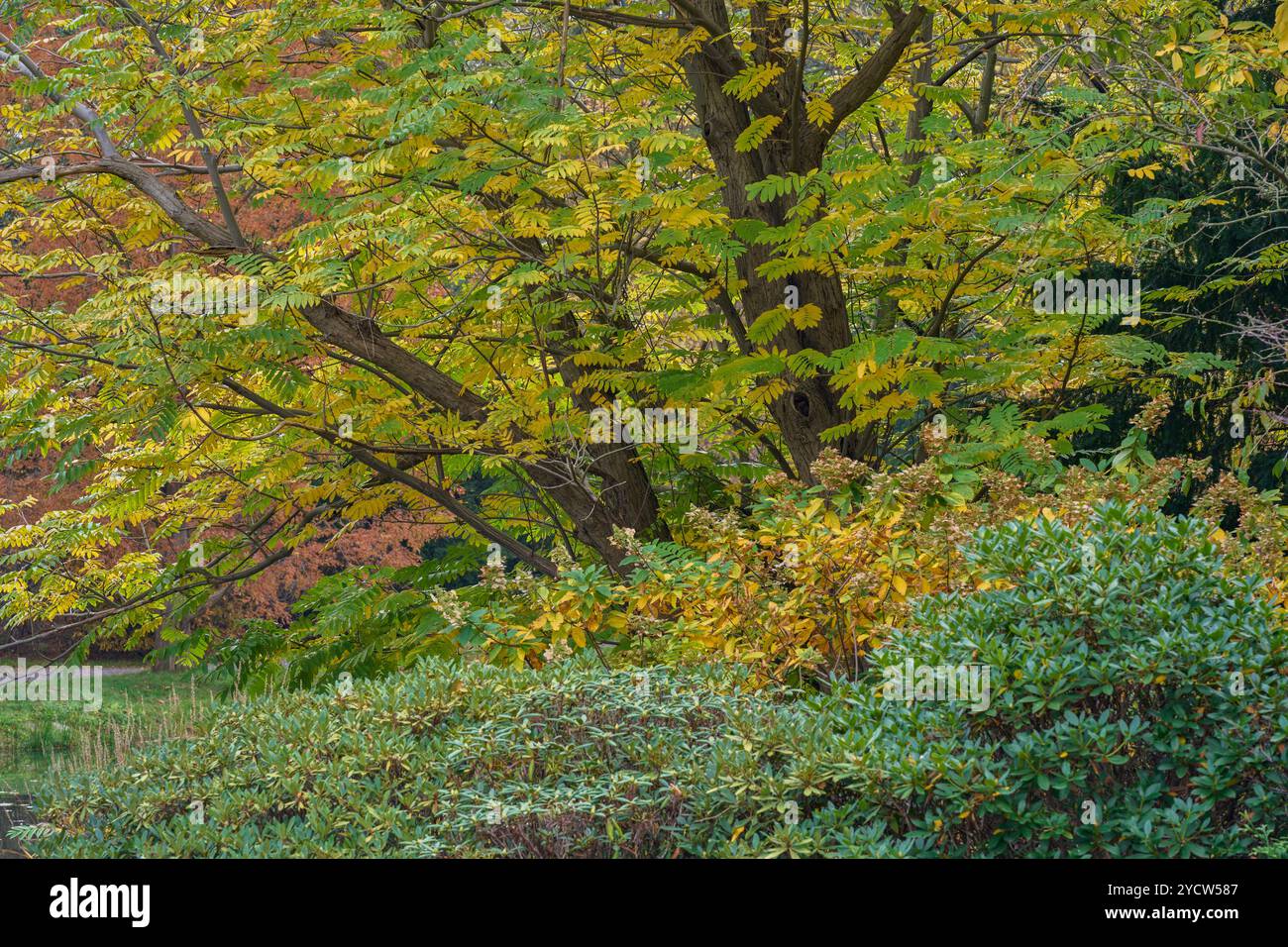 Centennial Hall und Pergola Komplex im Herbst Breslau Niederschlesien Polen Stockfoto