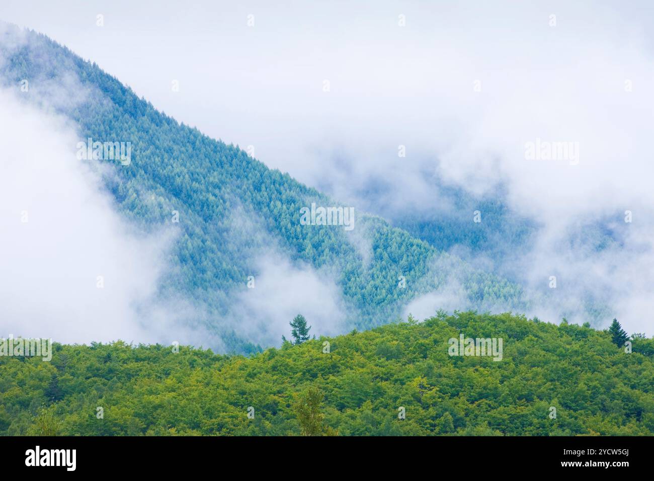 Berge nach dem Regen Stockfoto