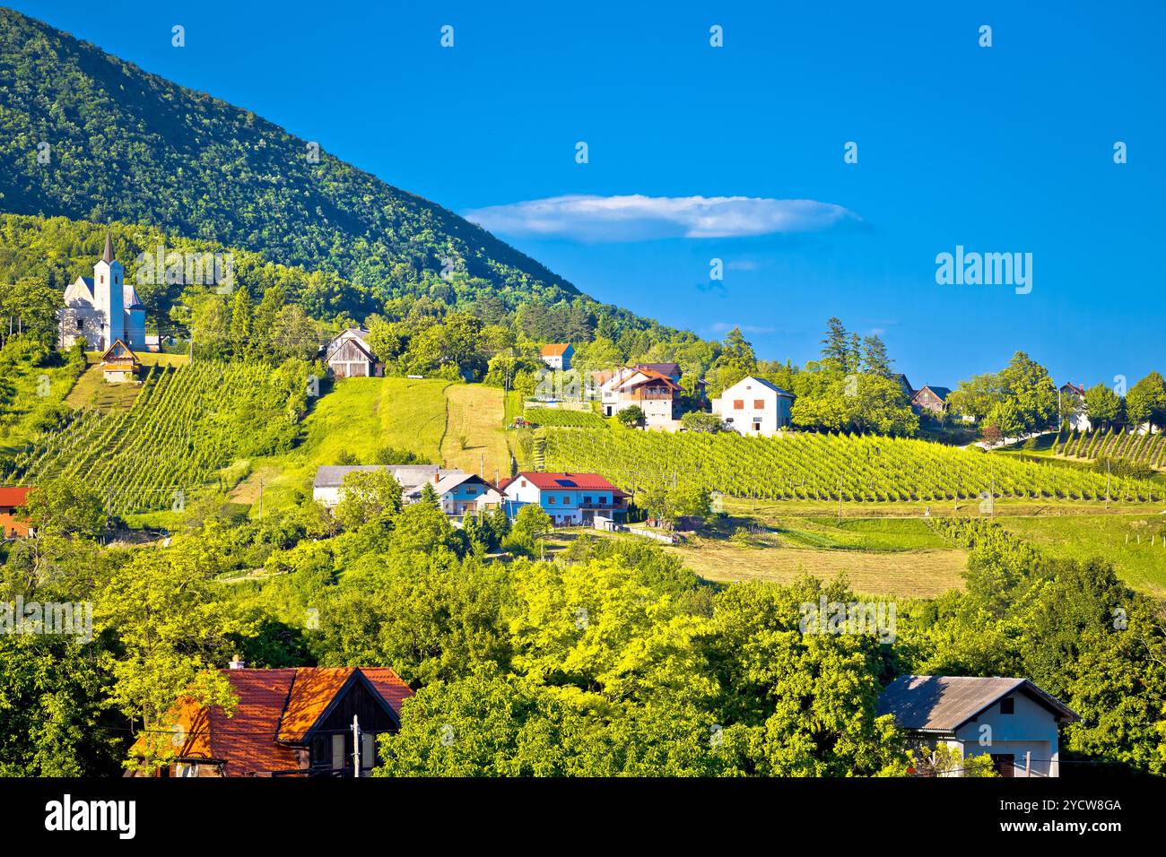 Plesivica Dorf in der grünen Natur Stockfoto