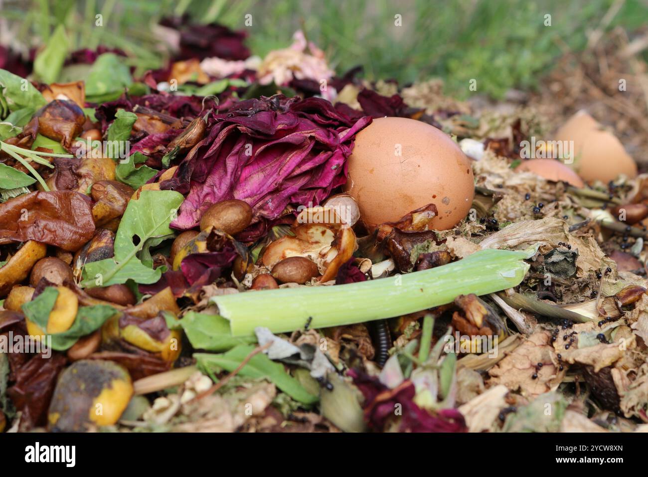 Ein großer Haufen dunkler, nährstoffreicher Kompost in einer natürlichen Gartenumgebung, bereit für die Bodendüngung. Ideal für Gartenarbeit, Nachhaltigkeit und Bio Stockfoto