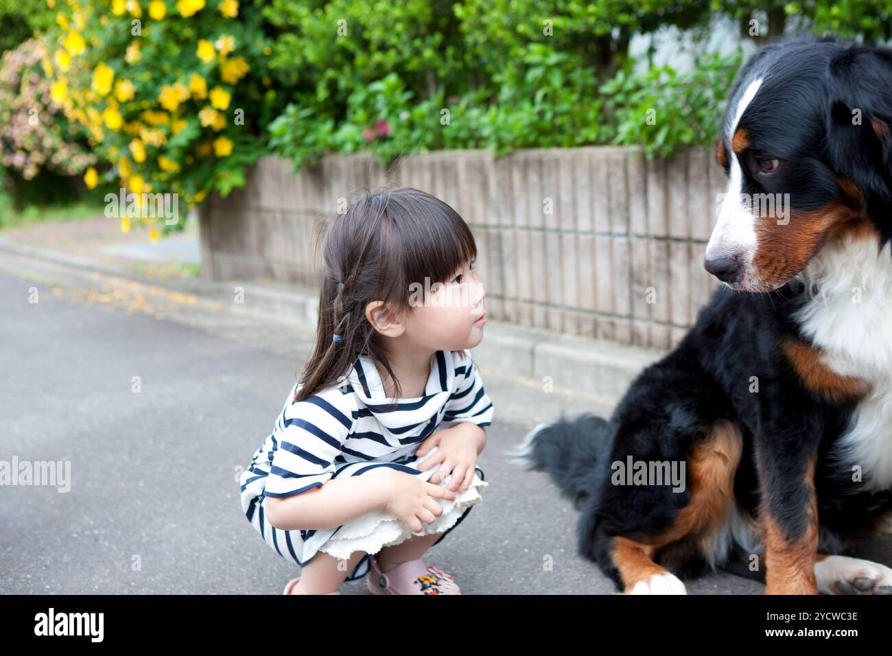 Mädchen spielen mit Hund Stockfoto