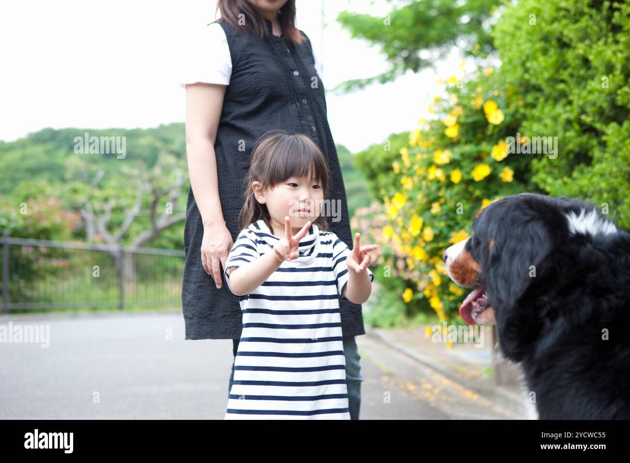 Mädchen spielen mit Hund Stockfoto