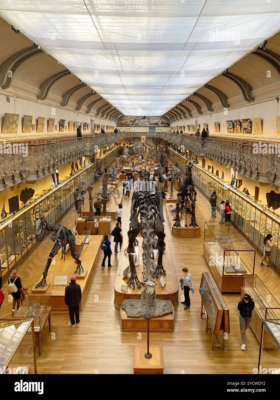 Skelette für Tiere und Dinosaurier in der Galerie für Paläontologie und vergleichende Anatomie, Französisches Naturkundemuseum im Jardin des Plantes, Par Stockfoto