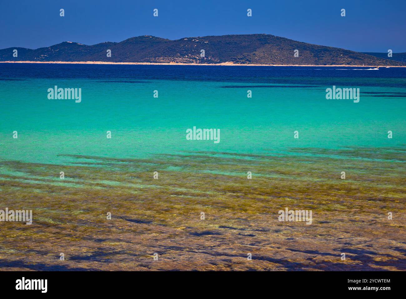 Türkis Strand von der Insel Dugi Otok Stockfoto