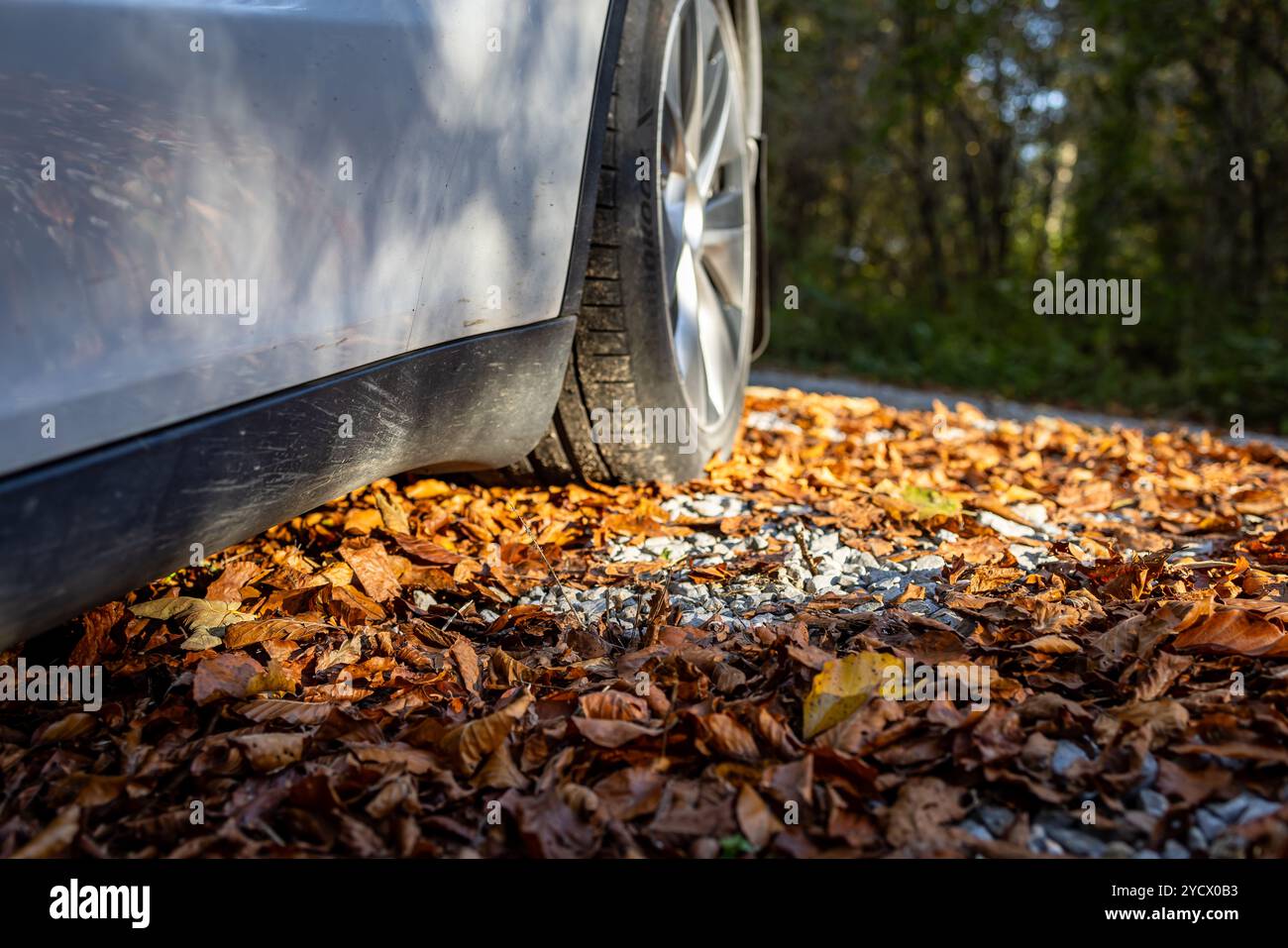 Elektroauto fährt auf Herbstferien Stockfoto