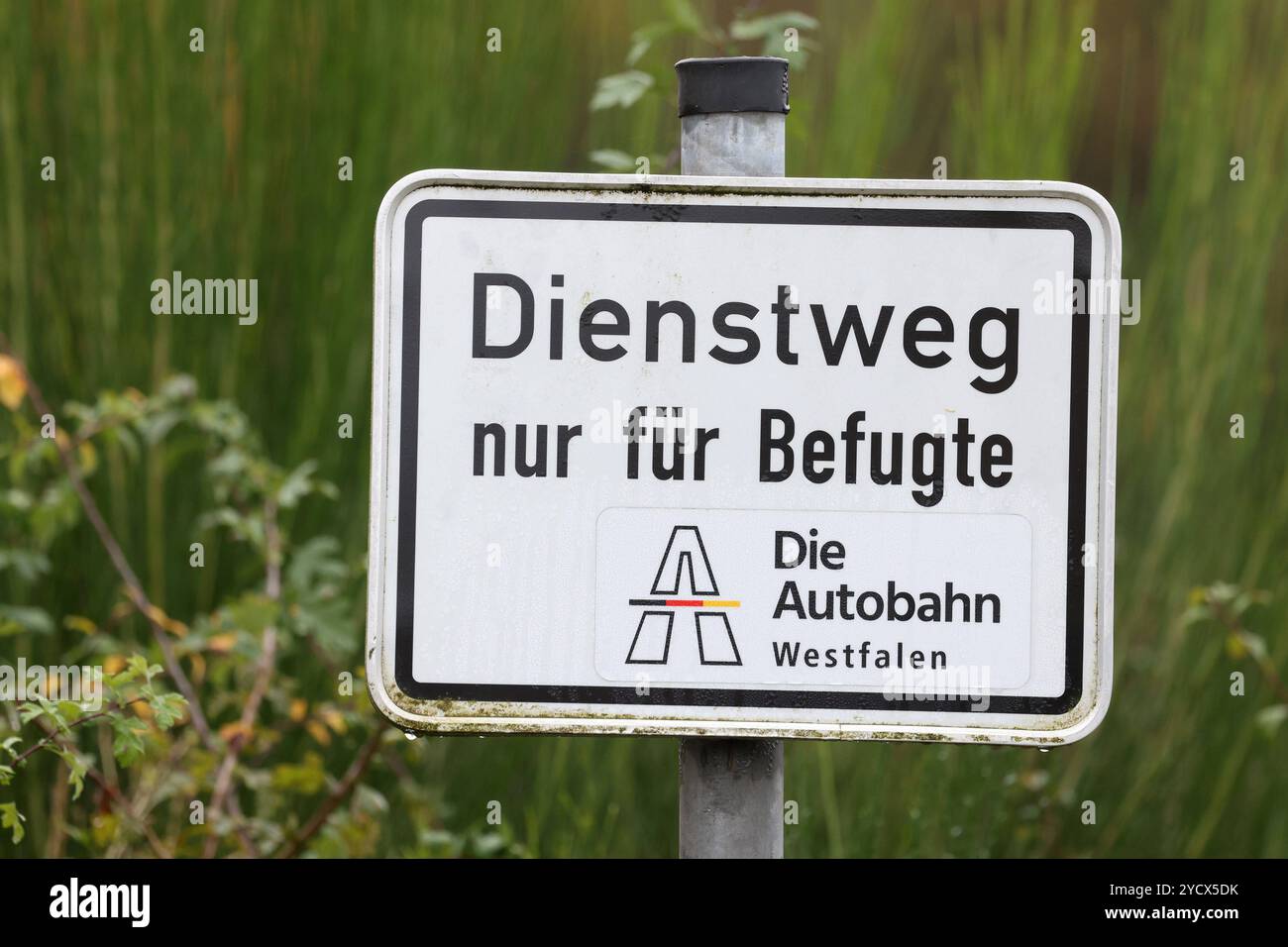 Schild, Dienstweg nur für Befugte die Autobahn Westfalen auf einer Bruecke Brücke an der Autobahn A45 zwischen Siegen und Freudenberg. Schild Dienstweg an der Autobahn A45 am 24.10.2024 in Freudenberg/Deutschland. *** Schild, offizielle Route für berechtigte Personen nur Autobahn Westfalen auf einer Brückenbrücke auf der Autobahn A45 zwischen Siegen und Freudenberg Schild amtliche Route auf der Autobahn A45 am 24 10 2024 in Freudenberg Stockfoto