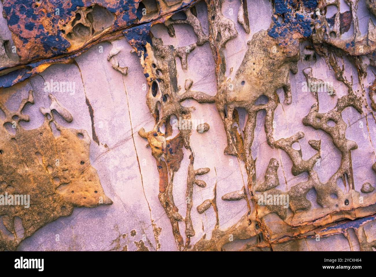 Komplizierte Muster der Erosion auf kantabrischen Kalksteinfelsen in Spanien mit reichen Texturen und Farben. Stockfoto