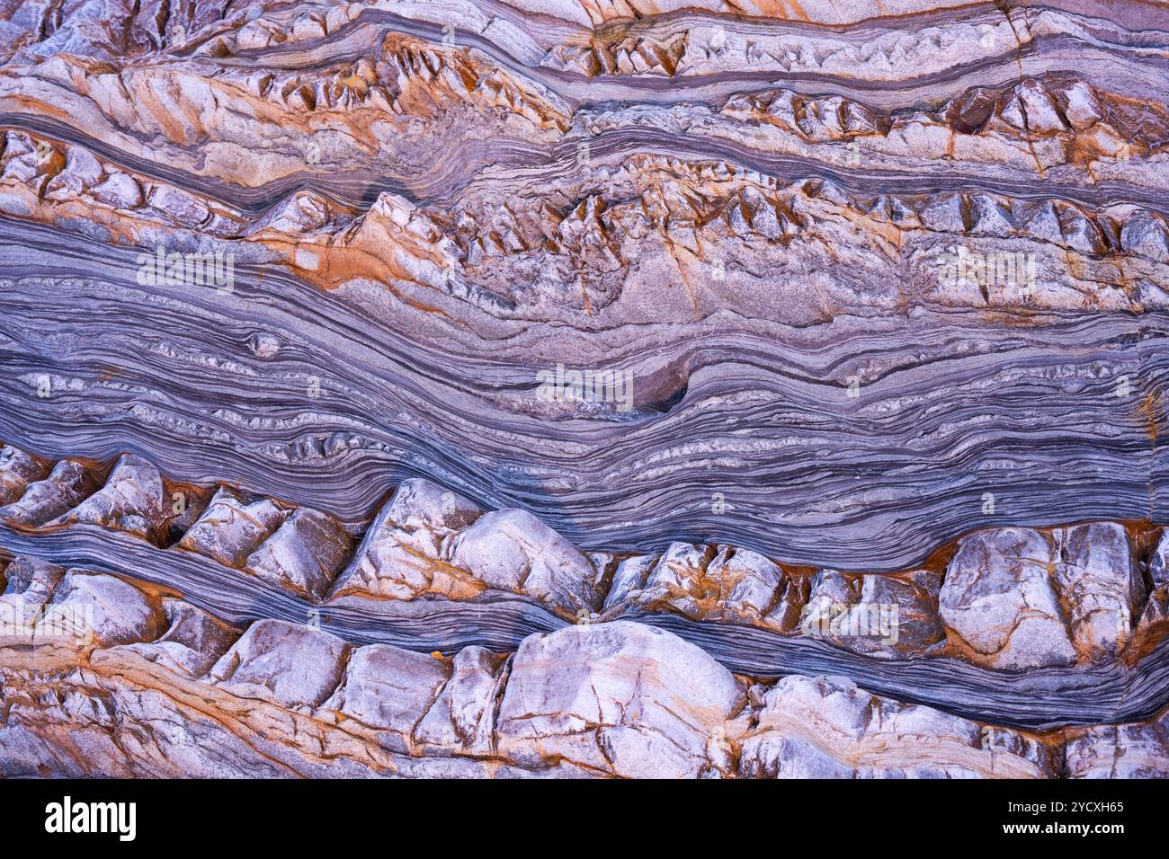 Ein detaillierter Blick auf die komplexen, geschichteten Felsformationen, die für die kantabrische Geologie in Spanien charakteristisch sind und die natürlichen Muster und Texturen zeigen Stockfoto