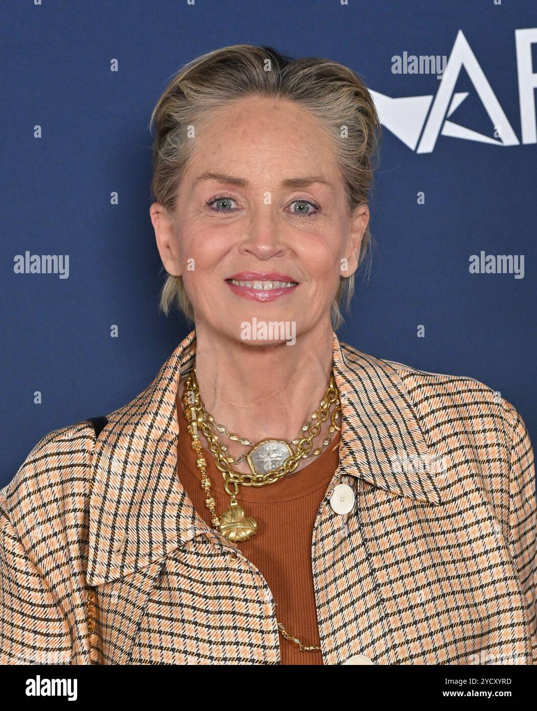 Hollywood, USA. Oktober 2024. Sharon Stone kam am 23. Oktober 2024 zur Premiere von Zurawski v. Texas während des AFI fest 2024 im TCL Chinese Theatre in Hollywood, CA. © Lisa OConnor/AFF-USA.com Credit: AFF/Alamy Live News Stockfoto
