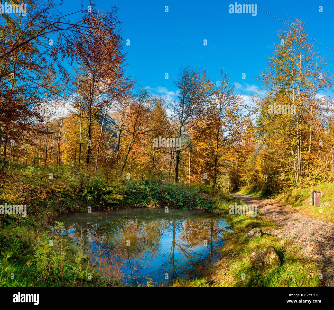 Bergsee mit farbenfrohen Bäumen Stockfoto