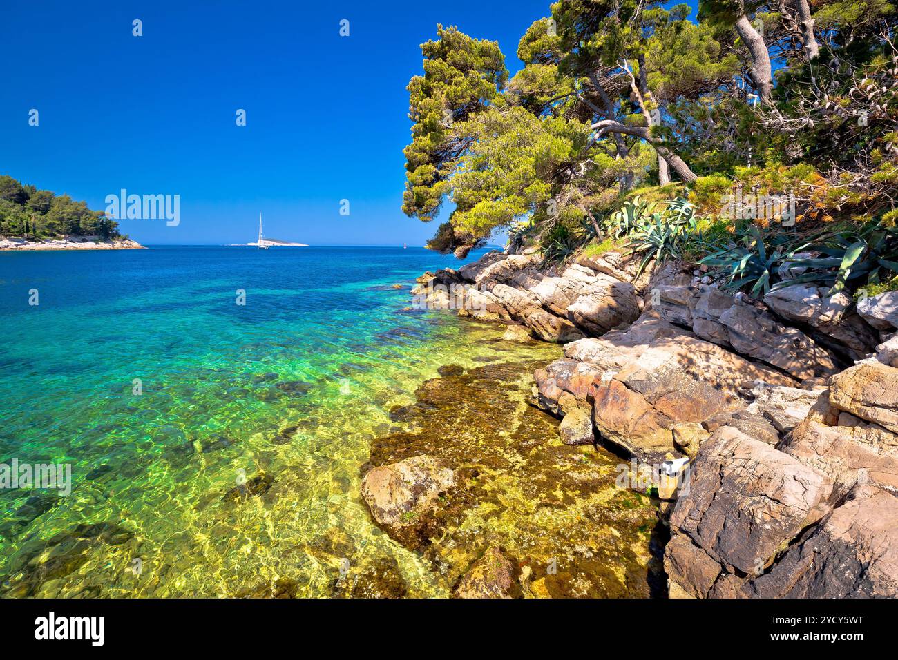 Idyllische Türkis Stein Strand in Cavtat Stockfoto