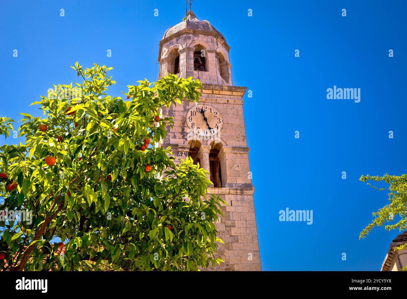 Cavtat Kirche Turm und Tangerine Tree View Stockfoto