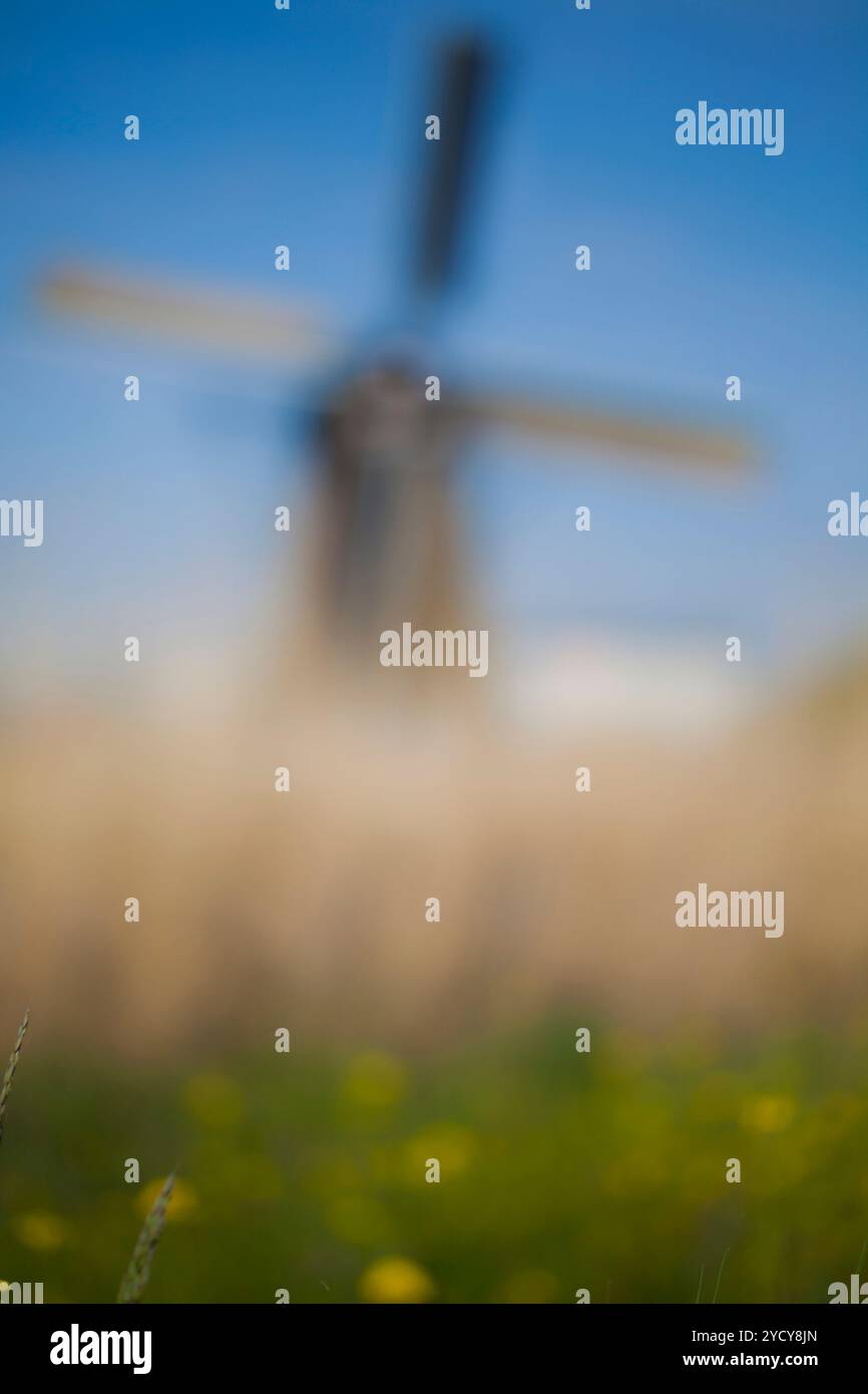 Windmühle, Kinderdijk, Niederlande Stockfoto