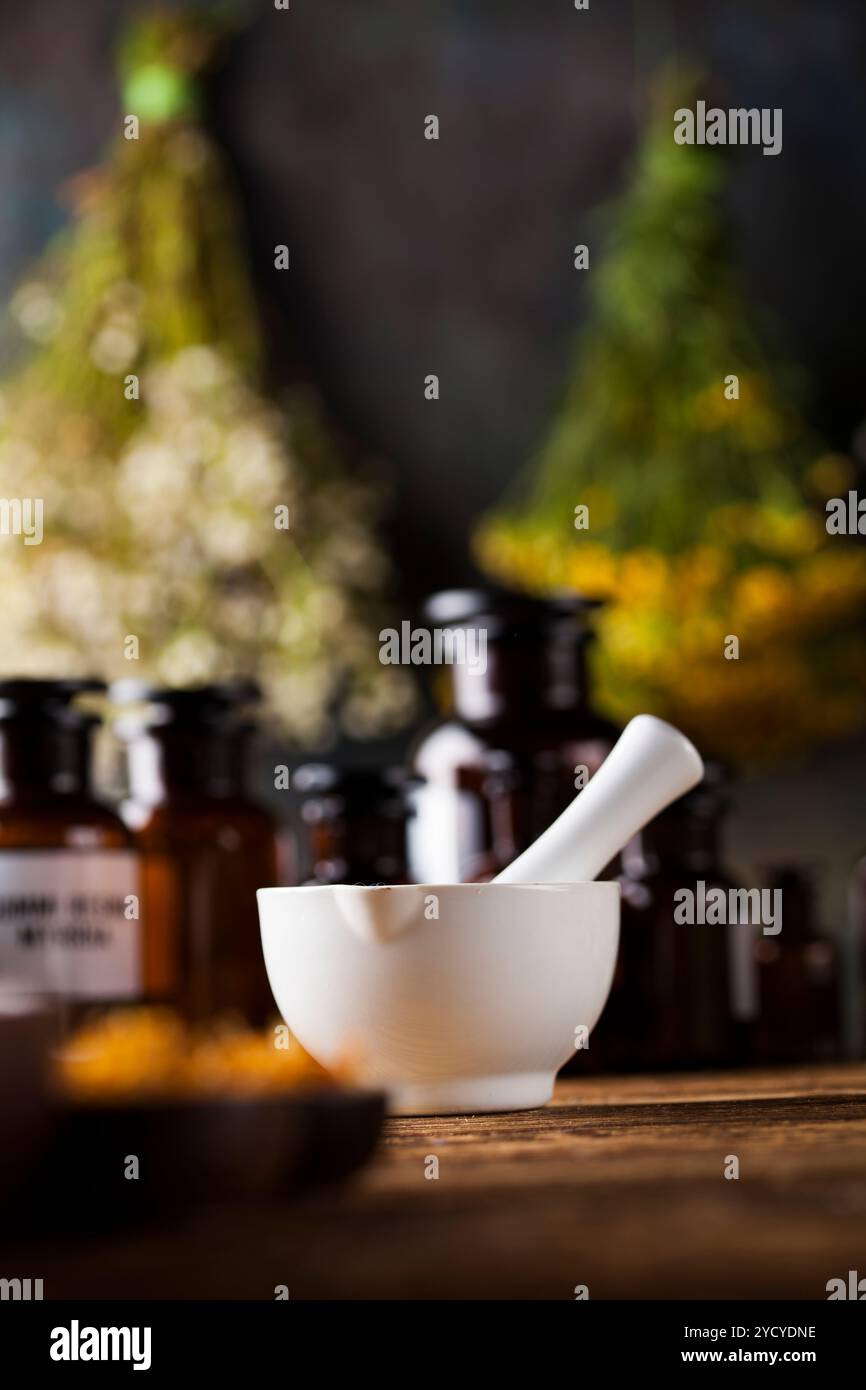 Frische Heilpflanzen, Heilkräuter auf Holz Stockfoto