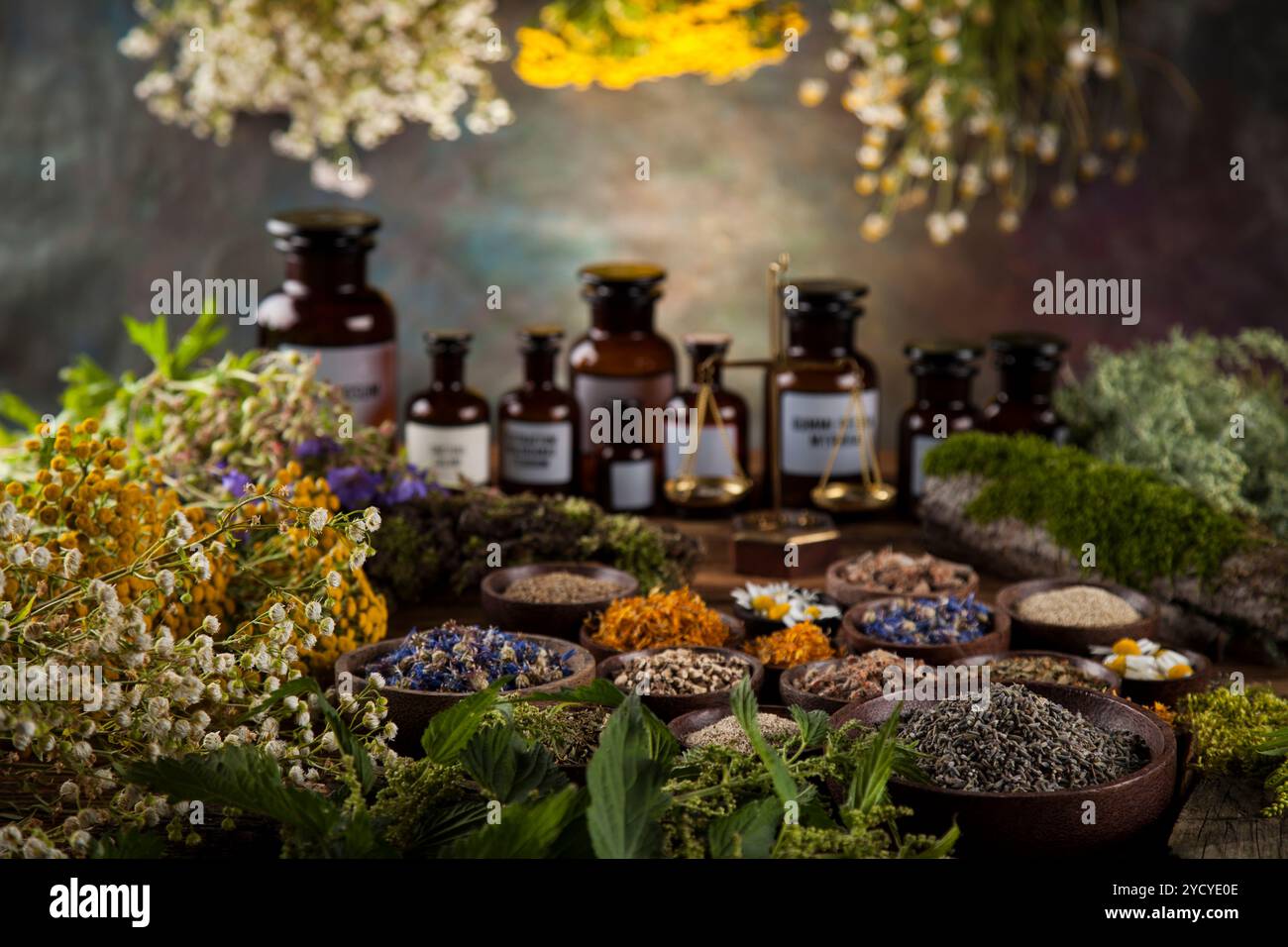 Frische Heilpflanzen, Heilkräuter auf Holz Stockfoto
