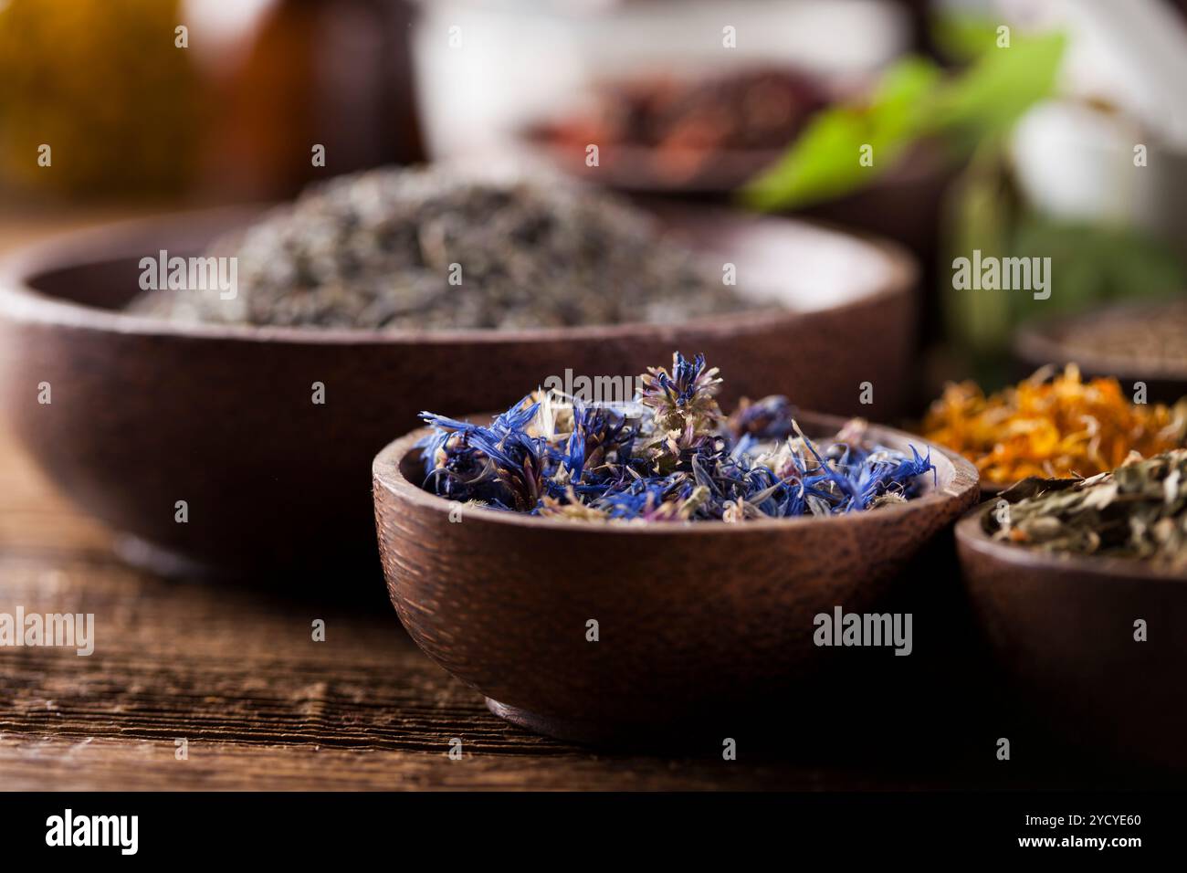 Frische Heilpflanzen, Heilkräuter auf Holz Stockfoto