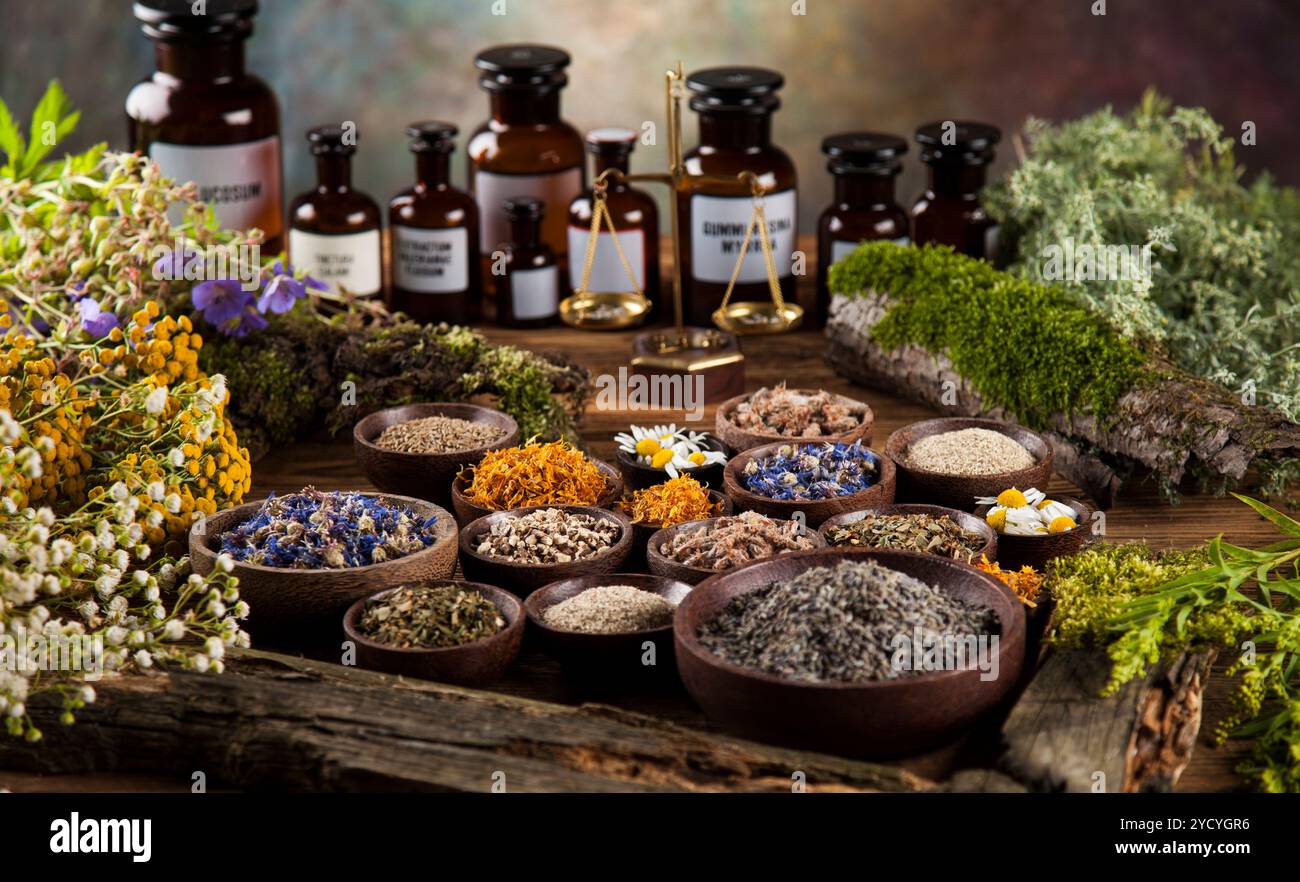 Frische Heilpflanzen, Heilkräuter auf Holz Stockfoto