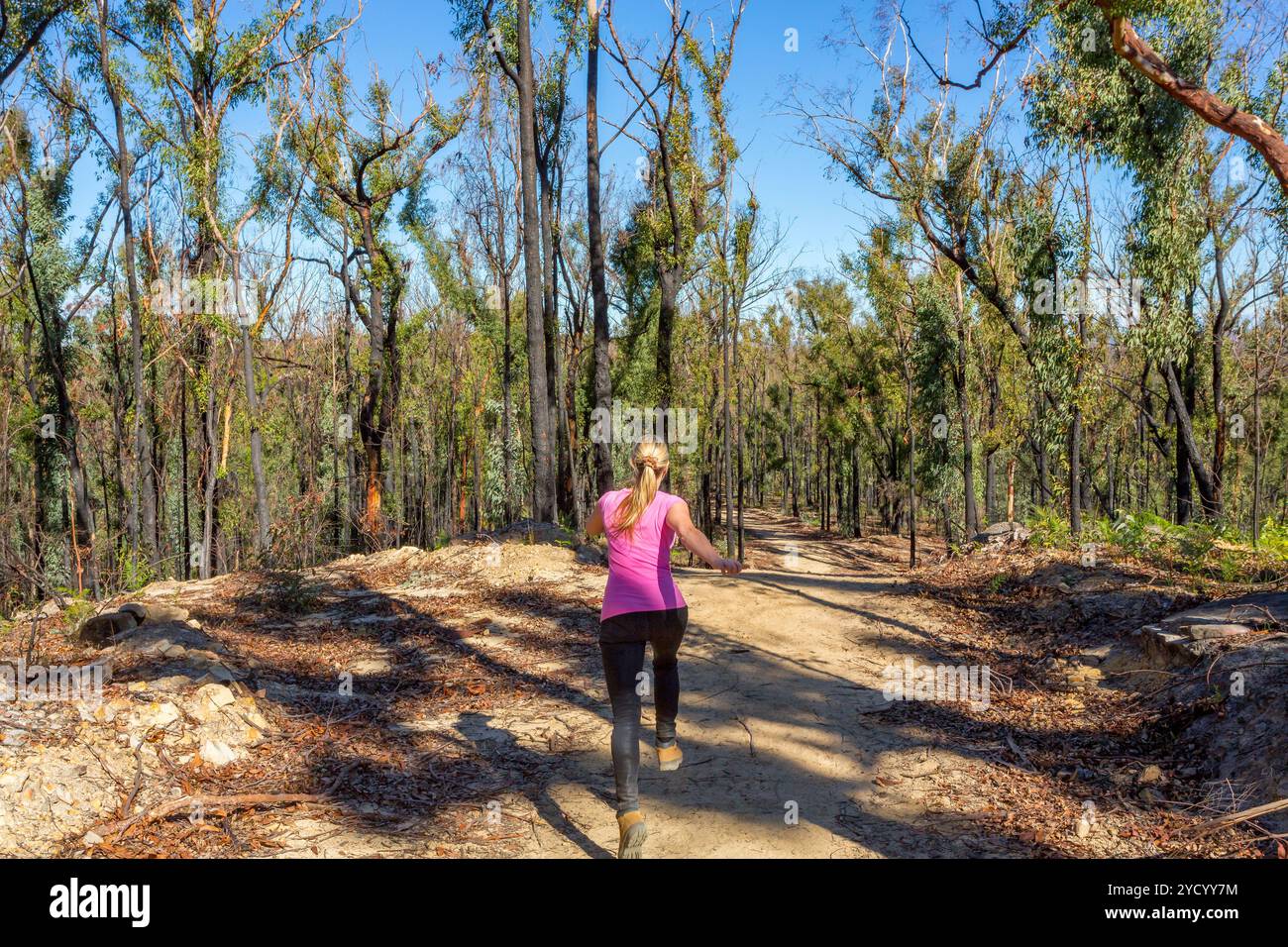 Frau, die auf einem Feldweg im Wald läuft Stockfoto