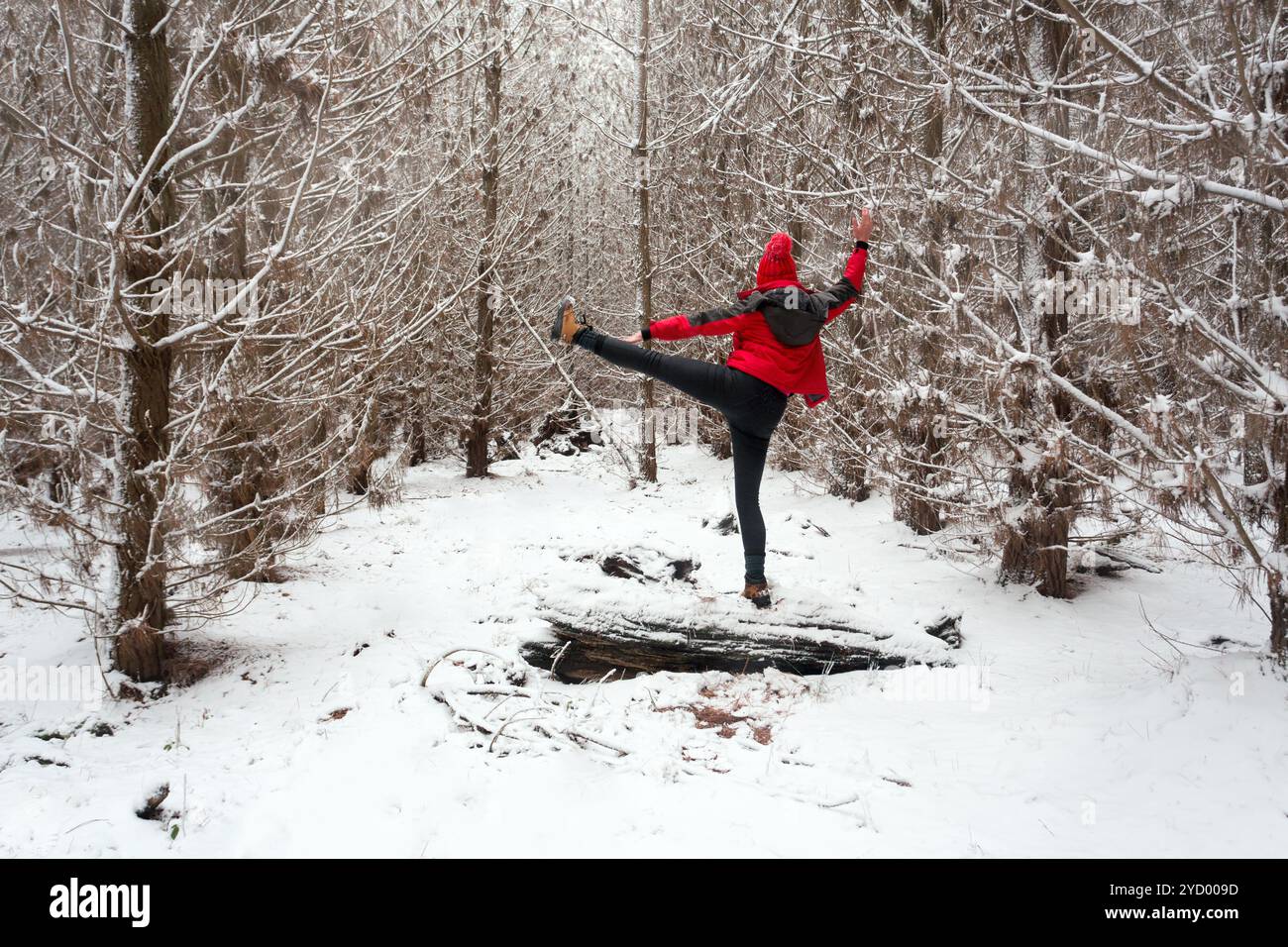 Sich draußen im Schnee ausstrecken Stockfoto