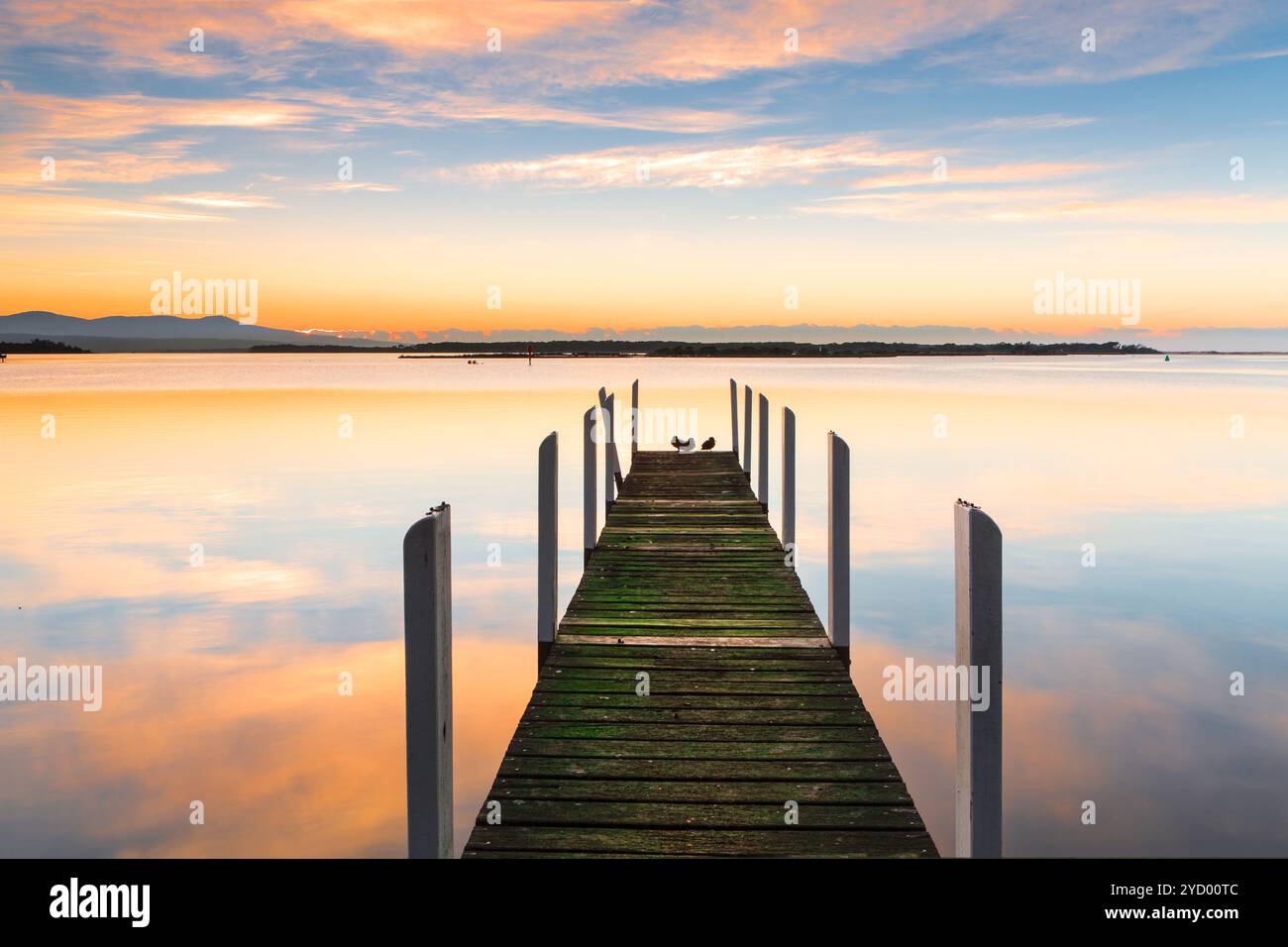 Perfekte Ruhe - Holzsteg und Reflexe Stockfoto