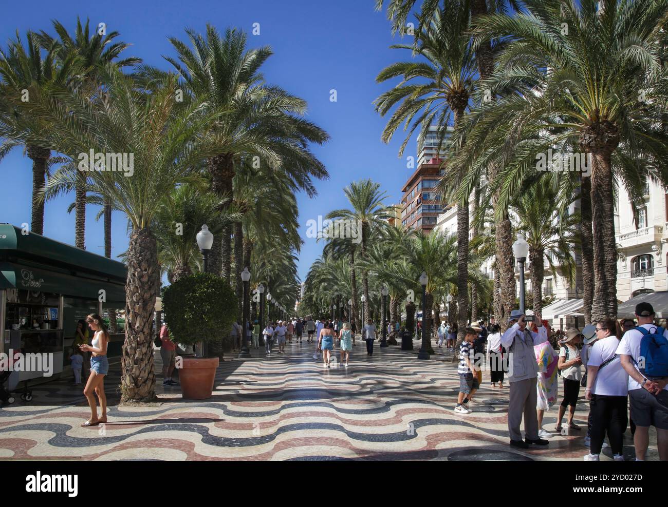 Editorial Alicante, Spanien - 4. Oktober 2024: Die Explanada de Espana oder „welliger Pflaster“ ist ein von Bäumen gesäumter Boulevard an der Küste von Alicante in Spanien d Stockfoto