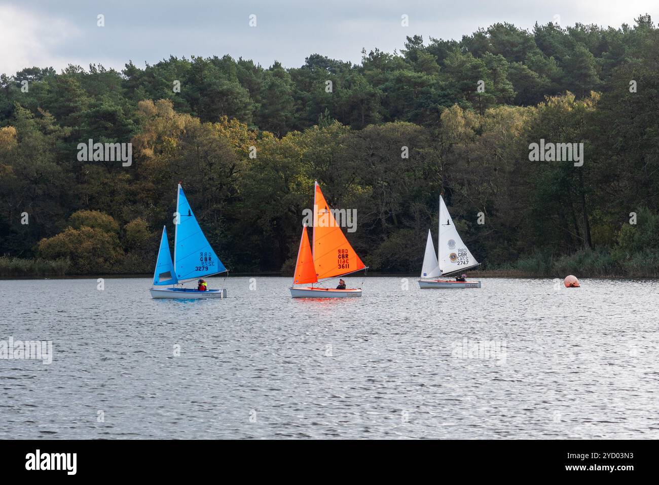 Segelboote oder Yachten auf dem Frensham Great Pond in Surrey, England, Großbritannien Stockfoto