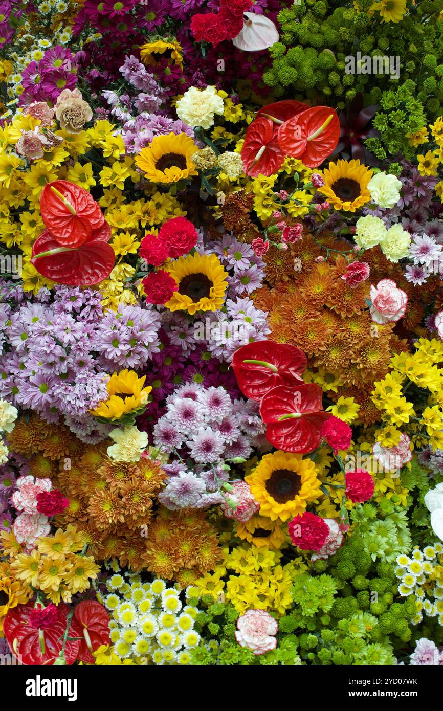 Bild der Blumen in Floral Fantasy, Singapur Stockfoto