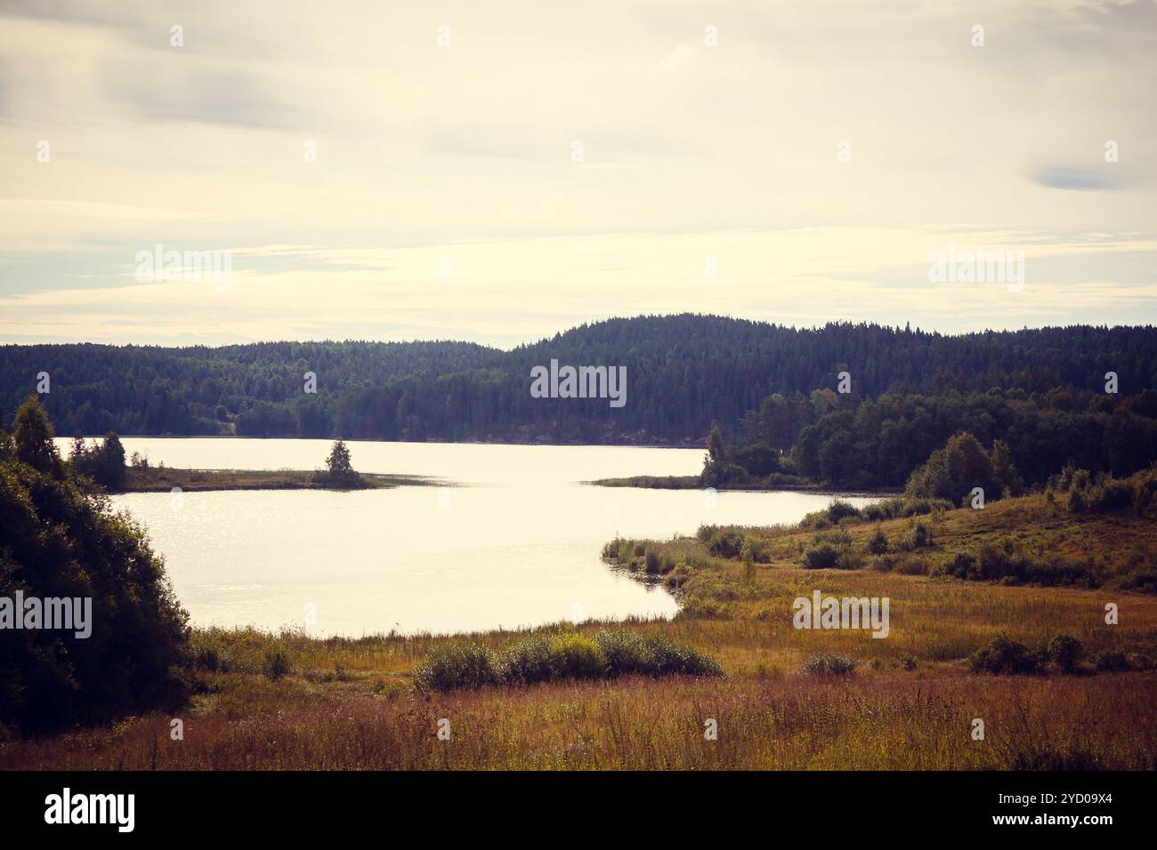 See in Karelien. Sommer Naturlandschaften auf Reisen. Stockfoto