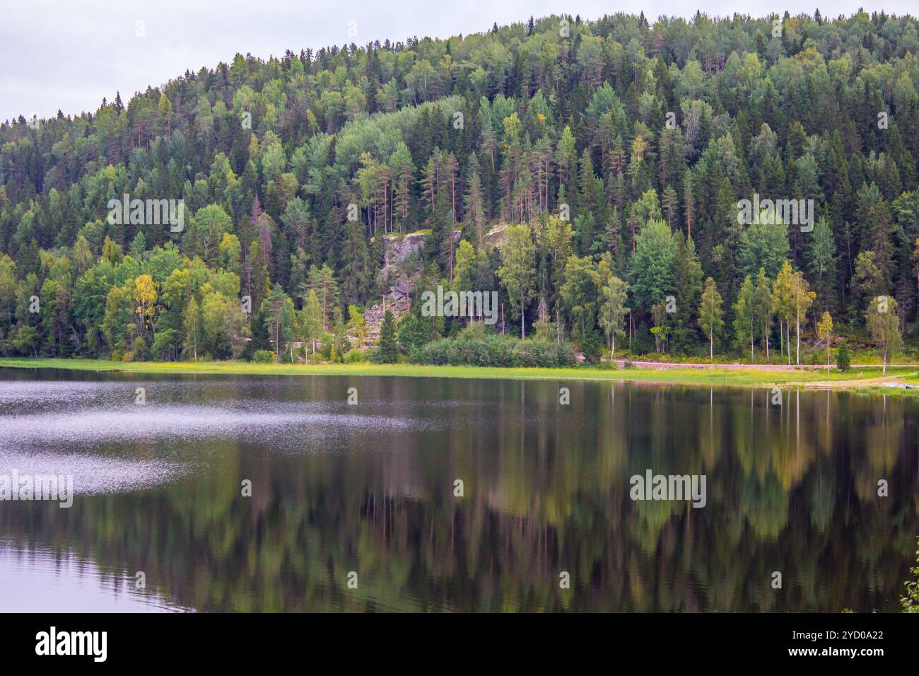 See in Karelien. Sommer Naturlandschaften auf Reisen. Stockfoto