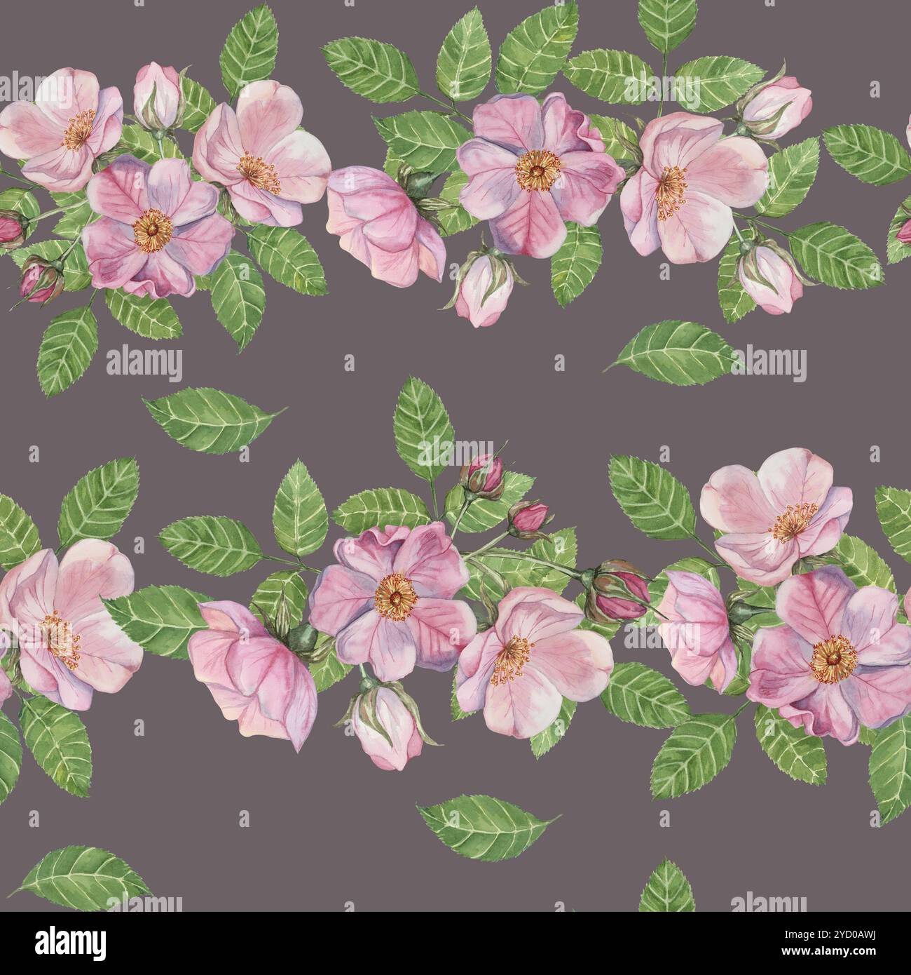 Rosa Canina Blüten, Hagebuttenknospen und Blätter auf weichem lila Hintergrund. Nahtloses Clipart mit Aquarellmuster. Ideal für Stoffdesign, Heimtextilien oder Bastelprojekte mit Blumenarrangements Stockfoto