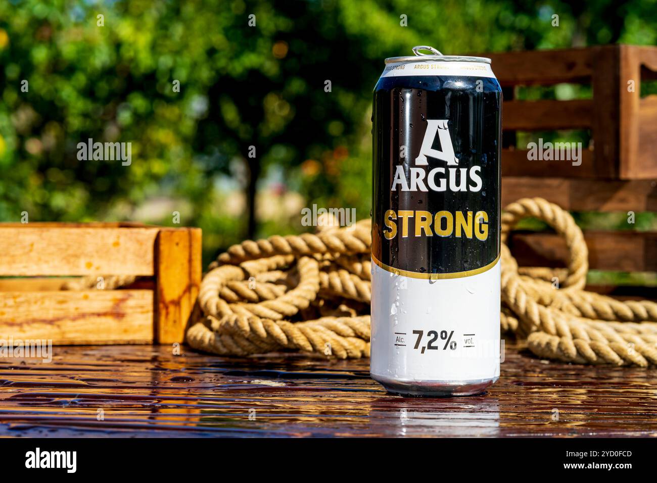 Argus-Bierdose – Kondenswassertröpfchen, Hintergrund im Freien Stockfoto