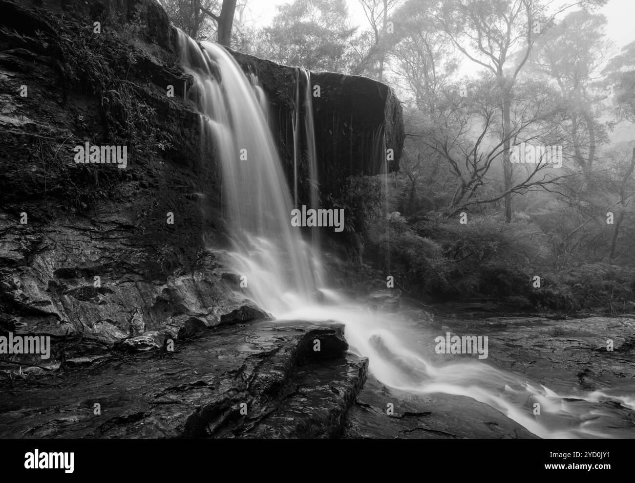 Nebeliger Wasserfall in den Blue Mountains Stockfoto