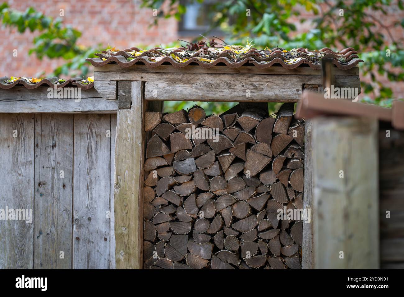 Brennholz Hintergrund. Verschiedene Arten von Holztexturen Hintergrund. Oberfläche der Holzstruktur. Textur von Brennholz und Holzwand. Stockfoto