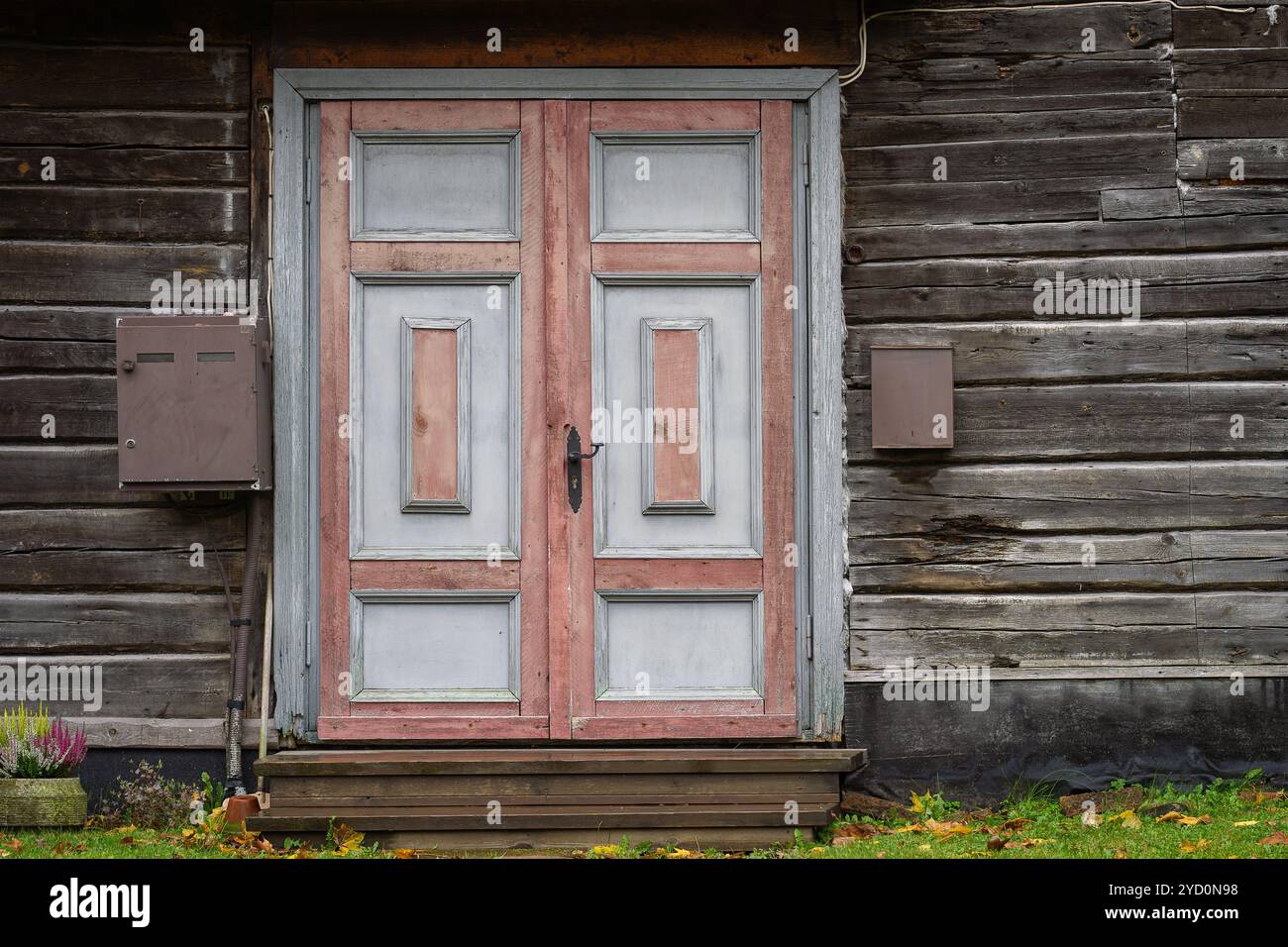 Gemalter Vordereingang eines Holzhauses. Holztür Hintergrund. Alte rosafarbene und graue Tür an der Außenseite des alten Holzhauses. Stockfoto