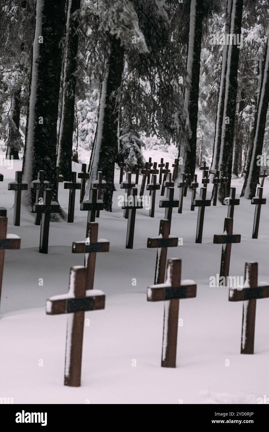 Ein ruhiger Winterfriedhof ist mit Schnee bedeckt, auf dem zahlreiche Holzkreuze zwischen hohen Bäumen stehen und eine ruhige und reflektierende Atmosphäre schaffen Stockfoto