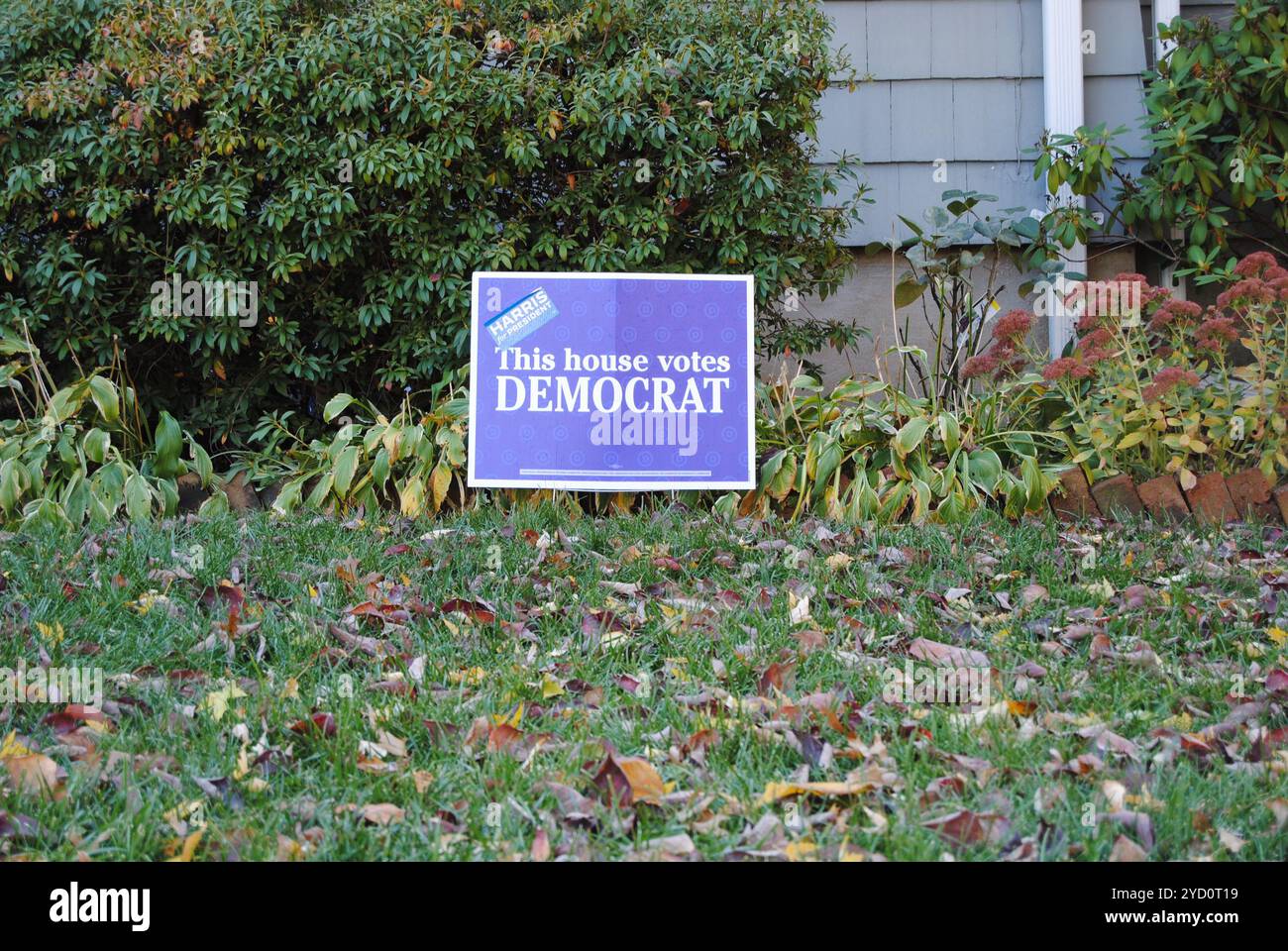 Rutherford, New Jersey, USA - 24. Oktober 2024: Politisches Rasenschild vor den US-Präsidentschaftswahlen 2024, in dem es heißt: "Dieses Haus stimmt DEMOKRAT". Stockfoto