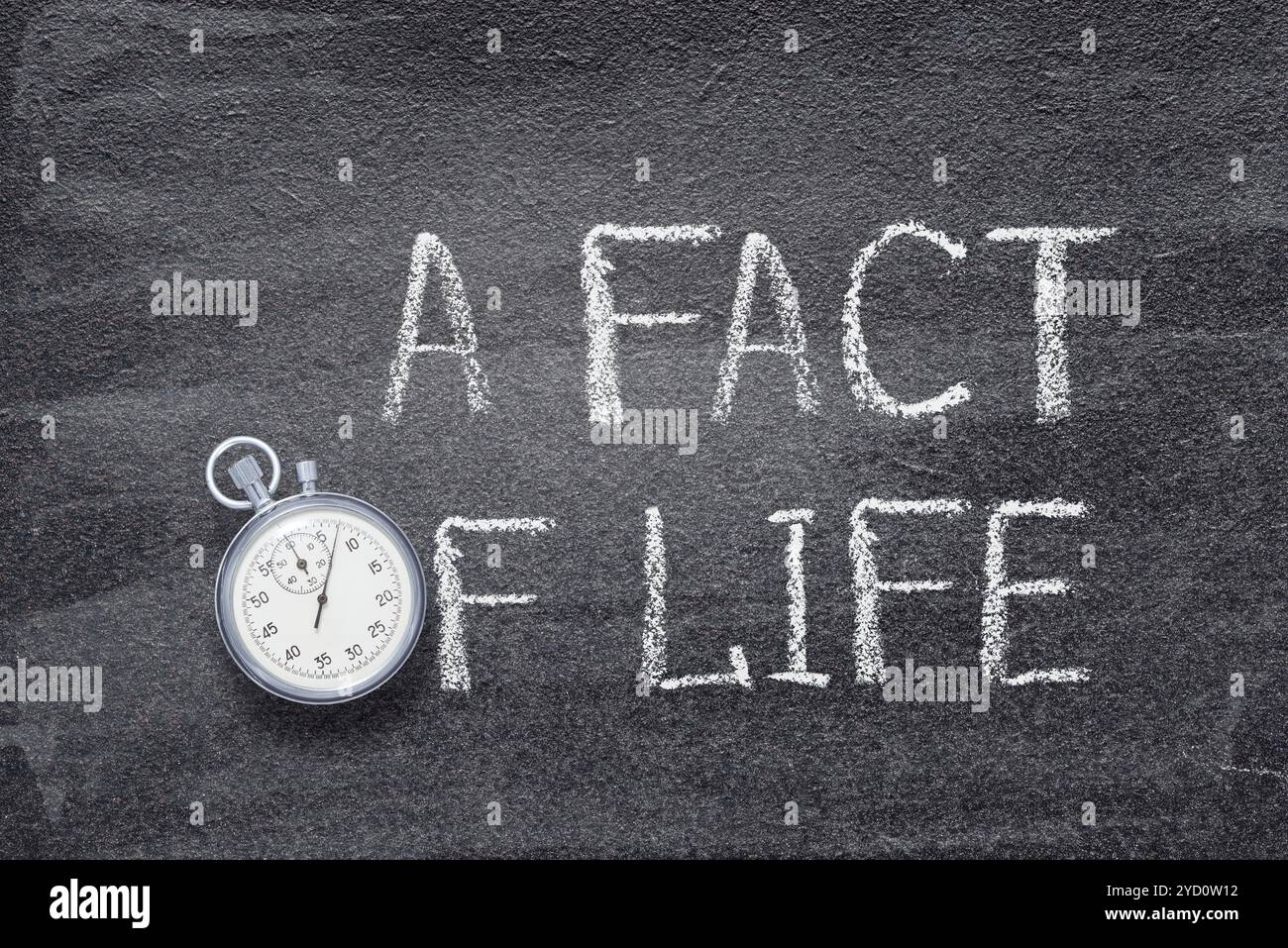 Eine Tatsache des Lebens Uhr Stockfoto
