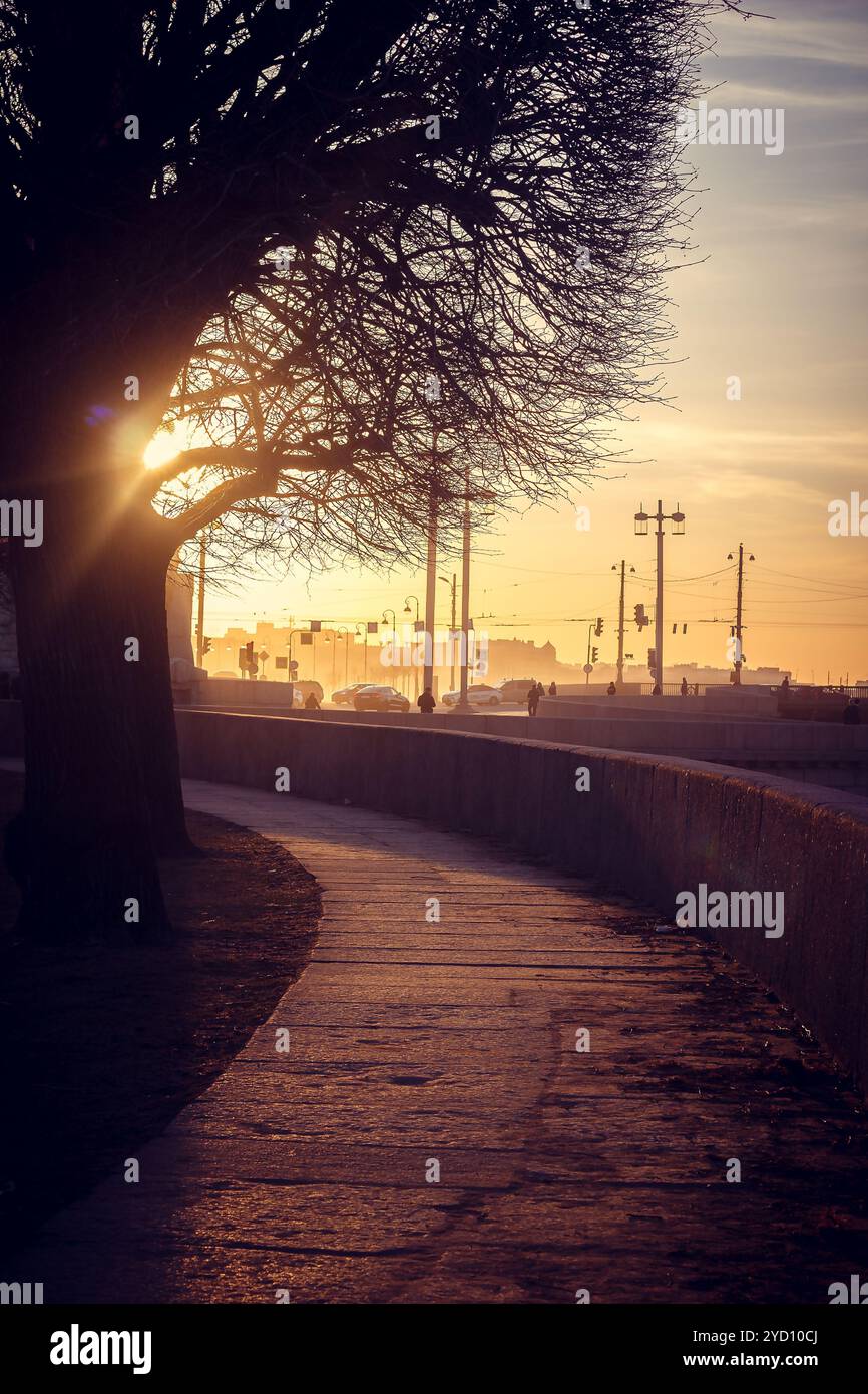 Landzunge der Insel Vasilyevsky bei Sonnenuntergang. St. Petersburger Innenstadt. Die Sehenswürdigkeiten der Stadt. Abends in der Stadt Stockfoto