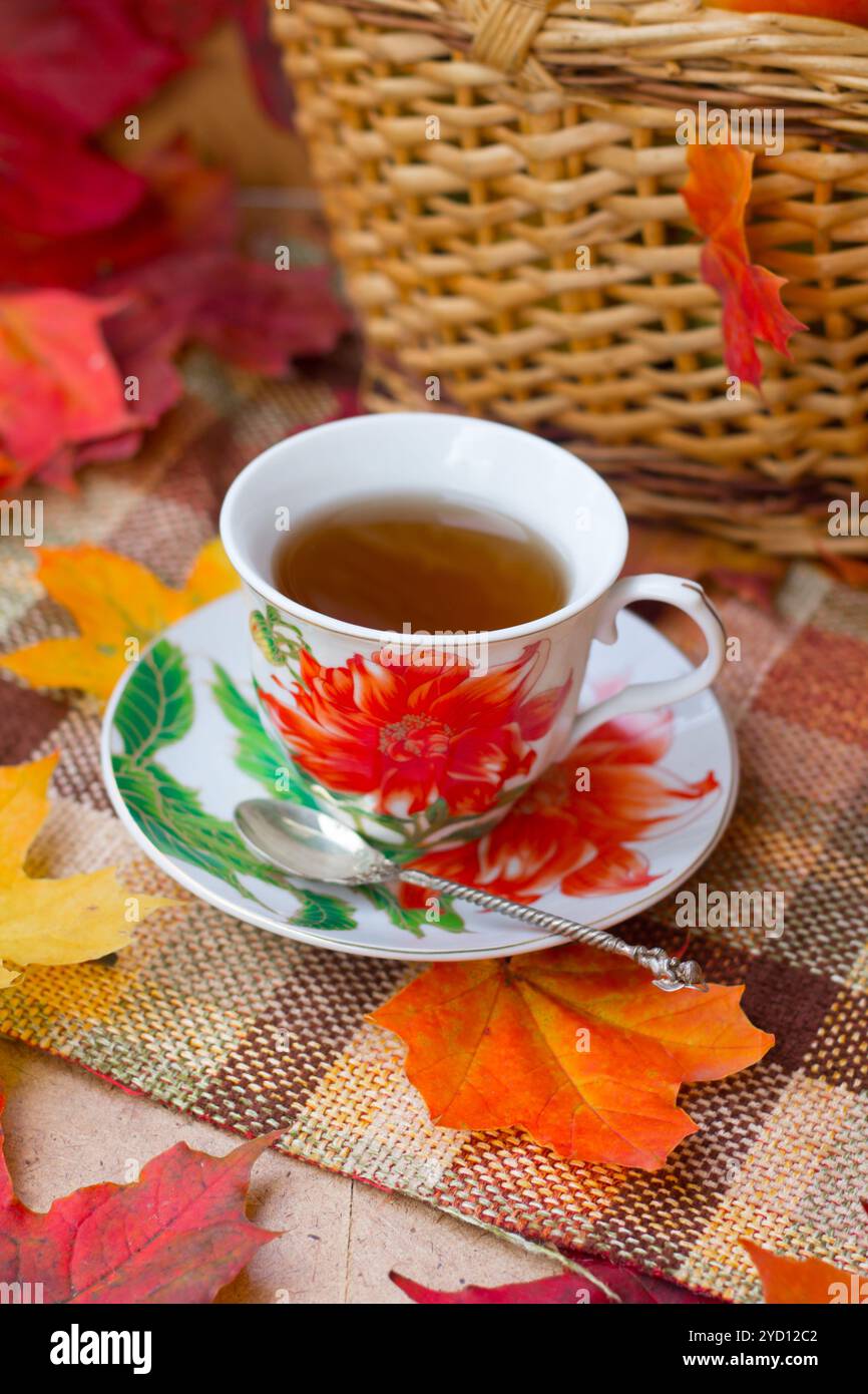 Eine Tasse Tee und Ahornblätter. Herbstteeparty. Rote Blätter. Geschenke der Natur. Ahornblätter Stockfoto