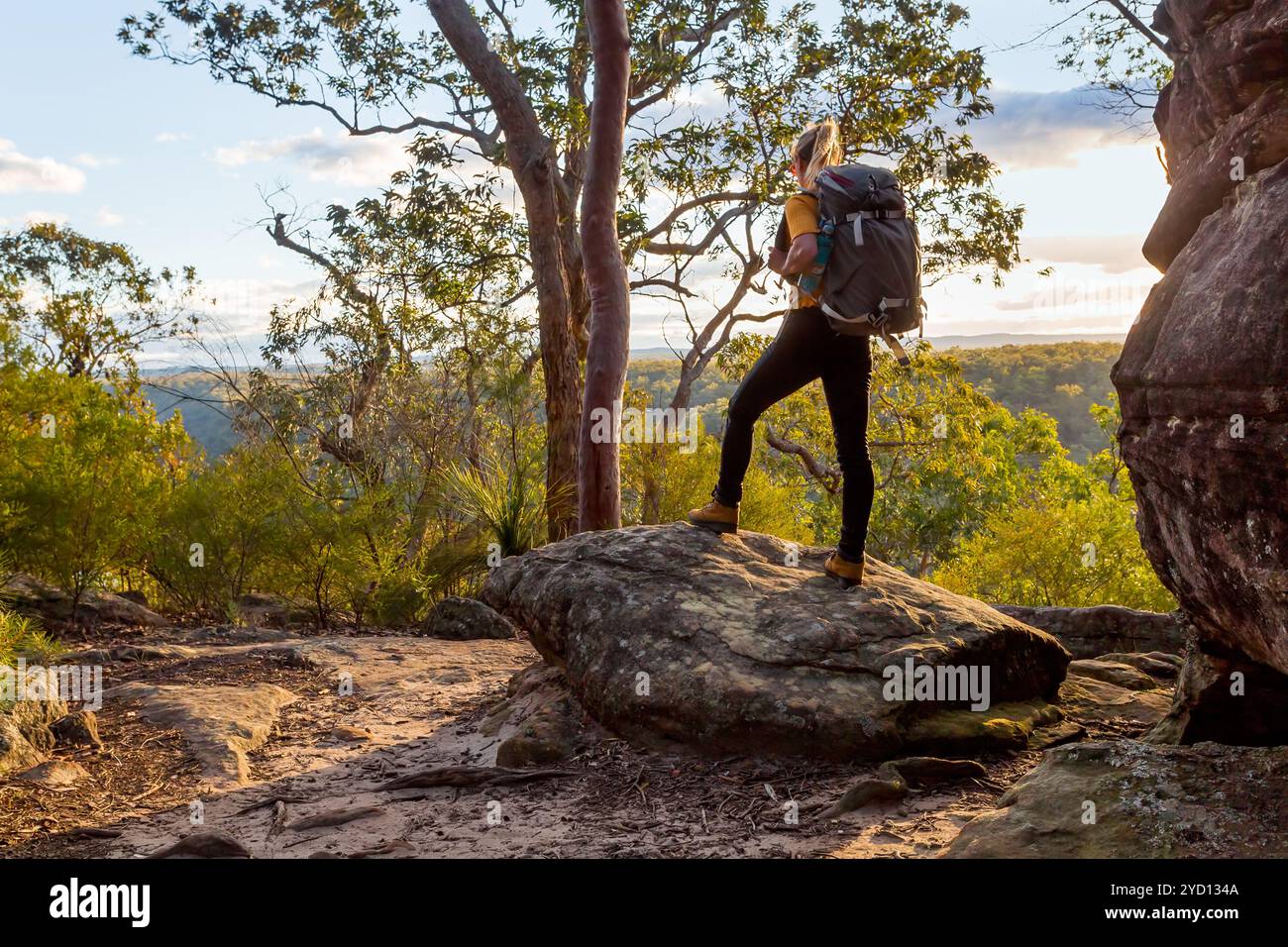 Wandererin mit Rucksack steht auf einem Felsen und bewundert die Aussicht beim Buschwandern im australischen Buschland Stockfoto