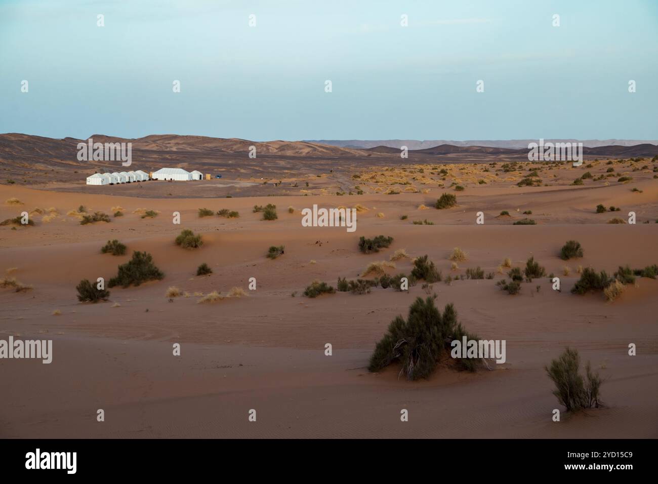 Eine ruhige Weite beiger Sanddünen erstreckt sich über die Sahara-Wüste in Marokko. Dünne Vegetation und entfernte weiße Strukturen stehen im Kontrast zum VAS Stockfoto