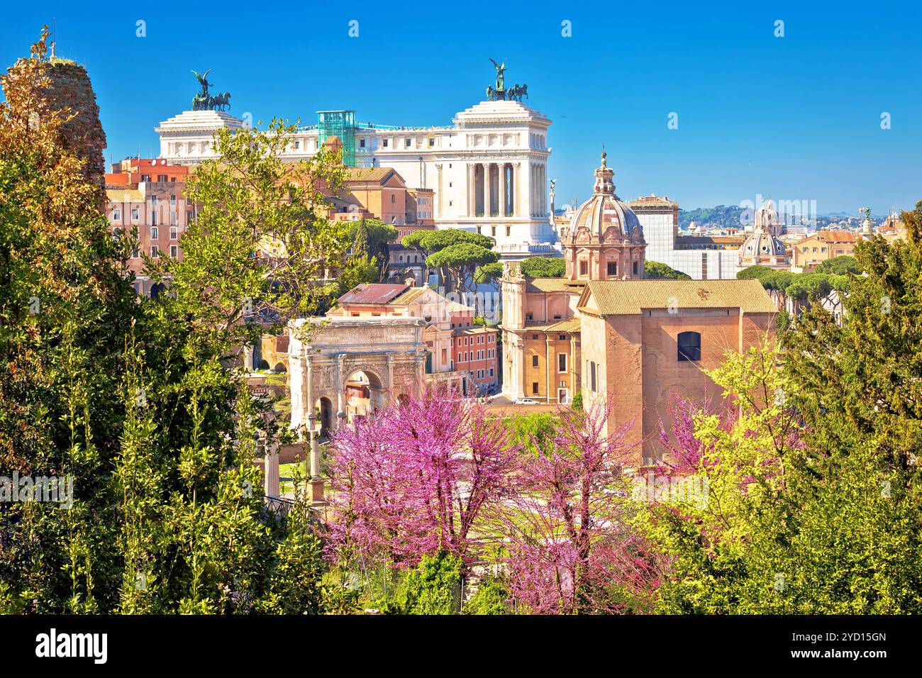 Malerischer Blick auf den Frühling über die Ruinen des Forum Romanum in Rom Stockfoto